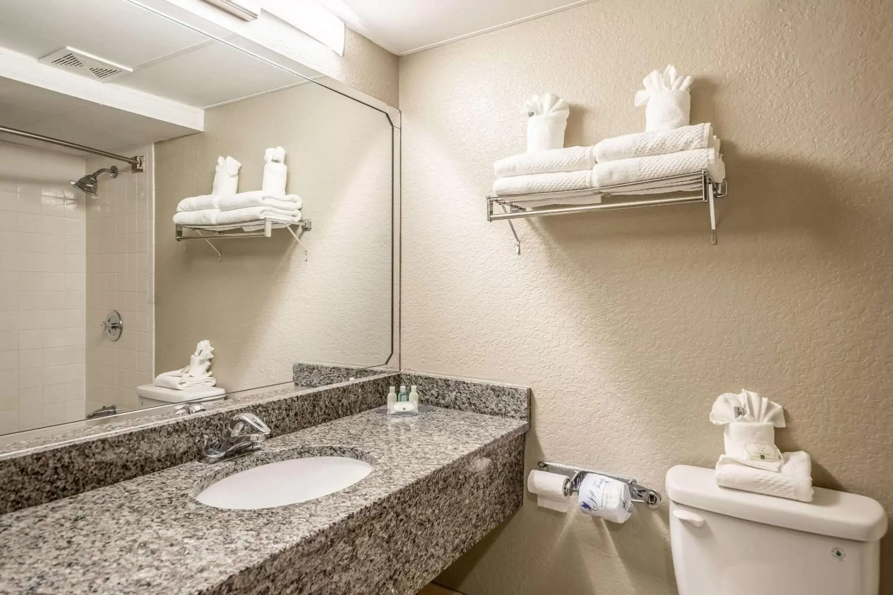 Bathroom in Quality Inn Lakeland North