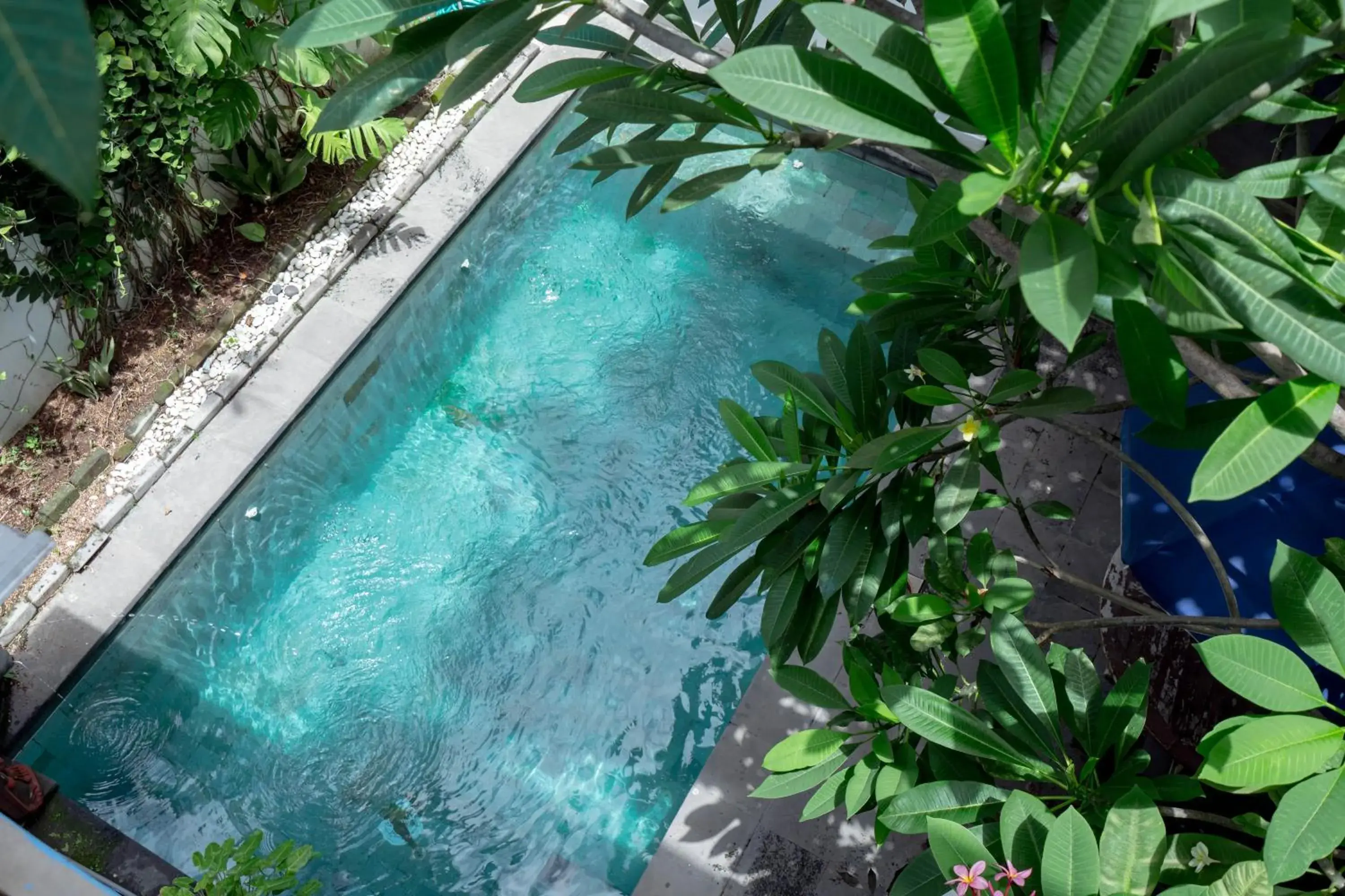 Swimming Pool in RedDoorz near Pantai Sanur Bali