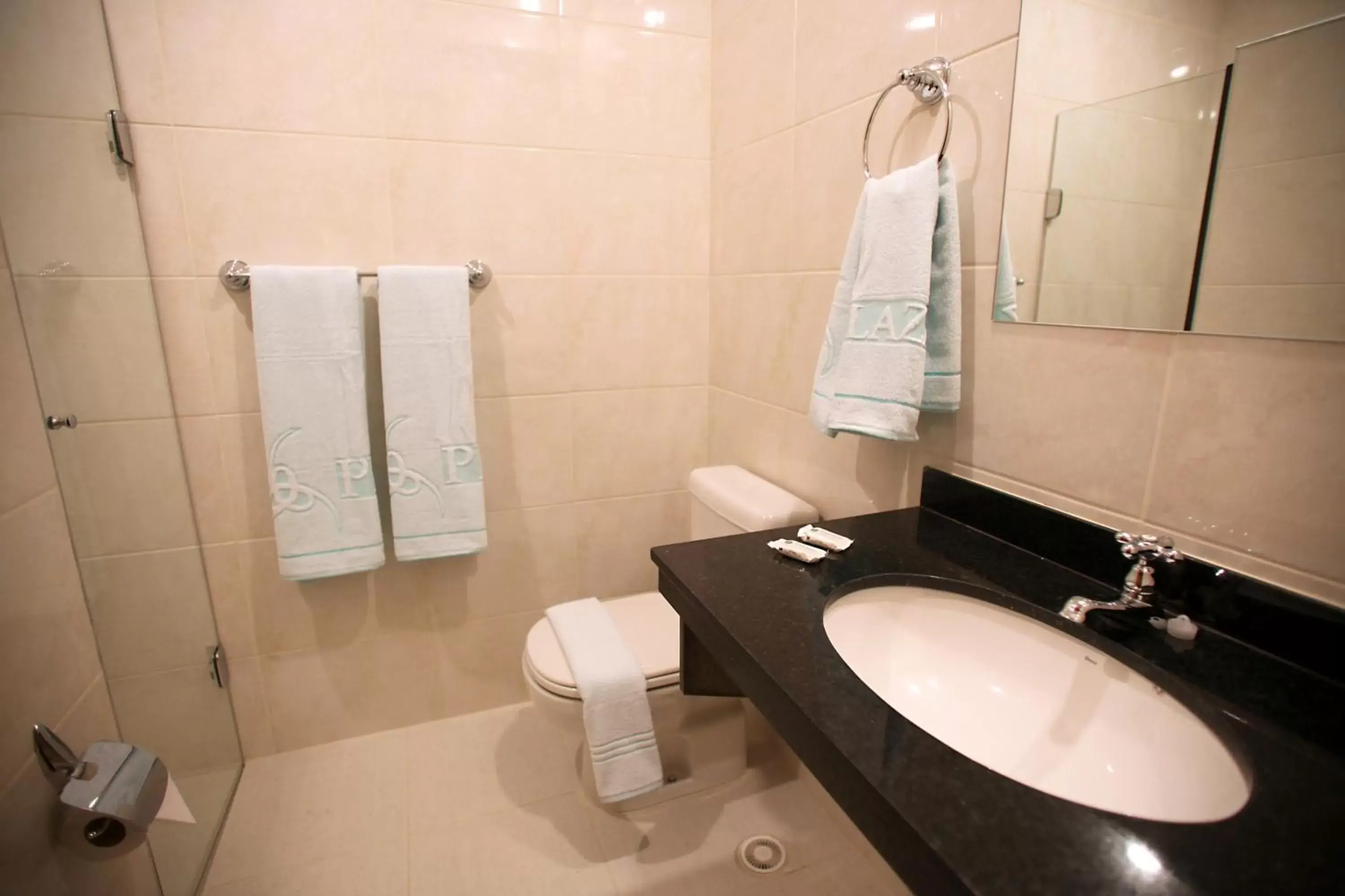 Bathroom in Soneca Plaza Hotel