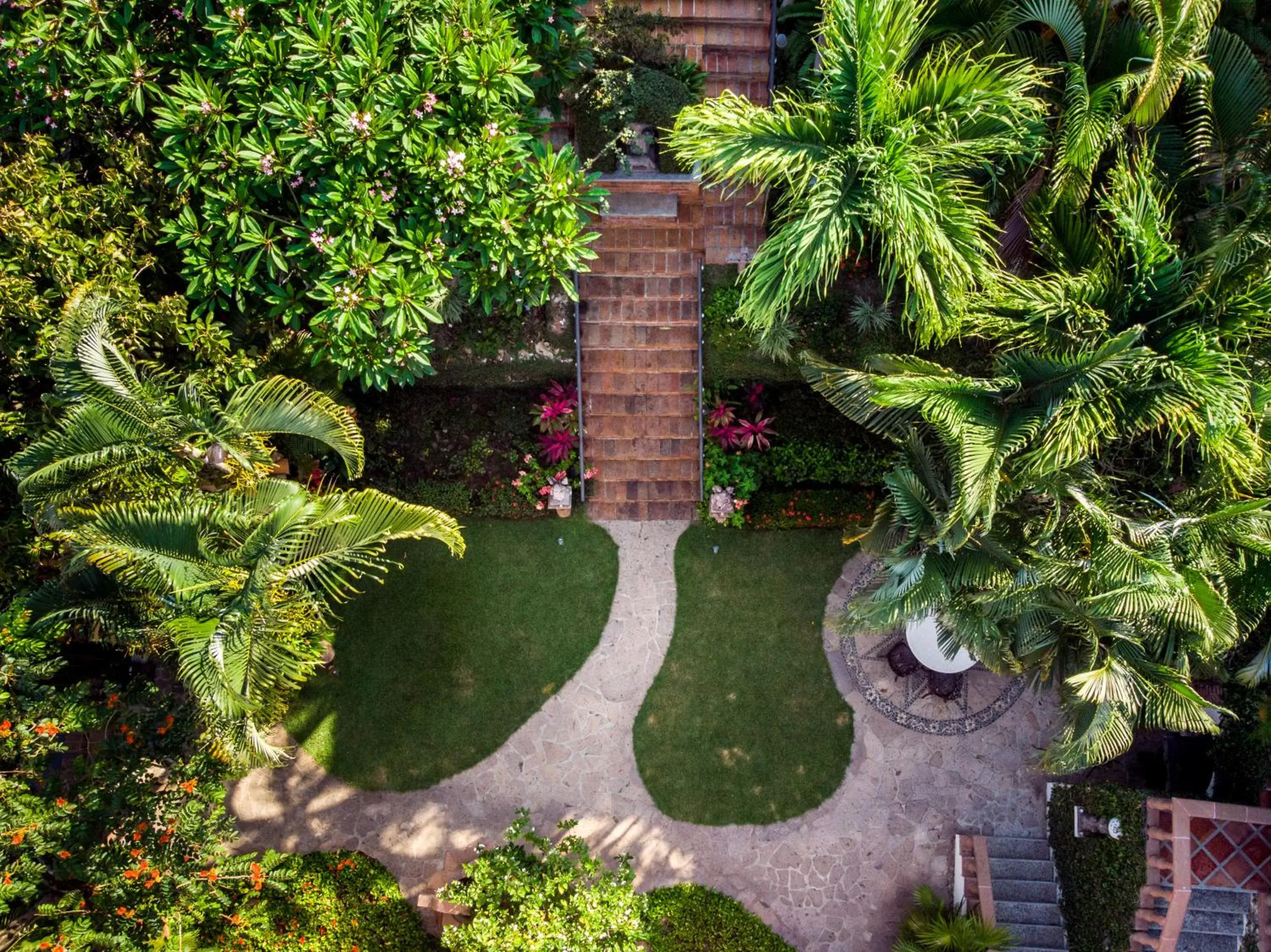 Garden in Hacienda San Angel