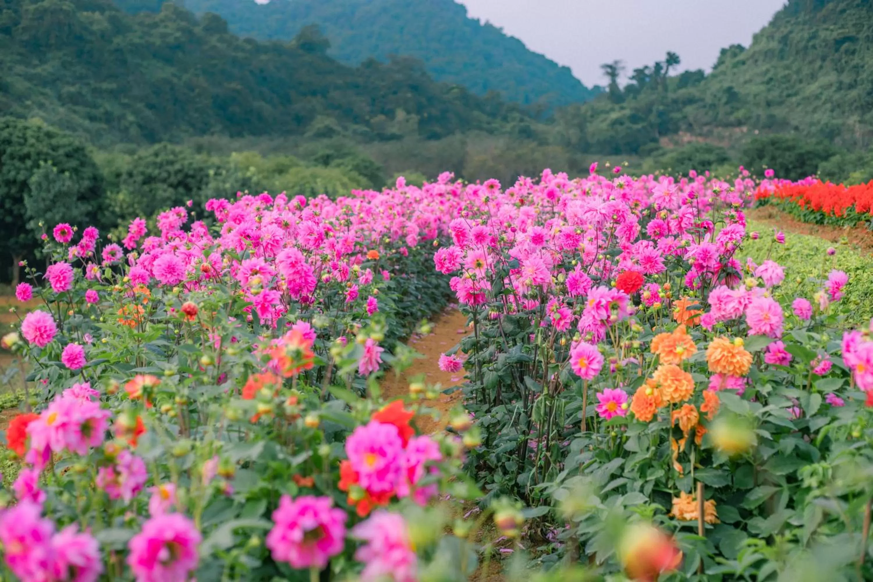 Natural landscape in Thung Nham Resort