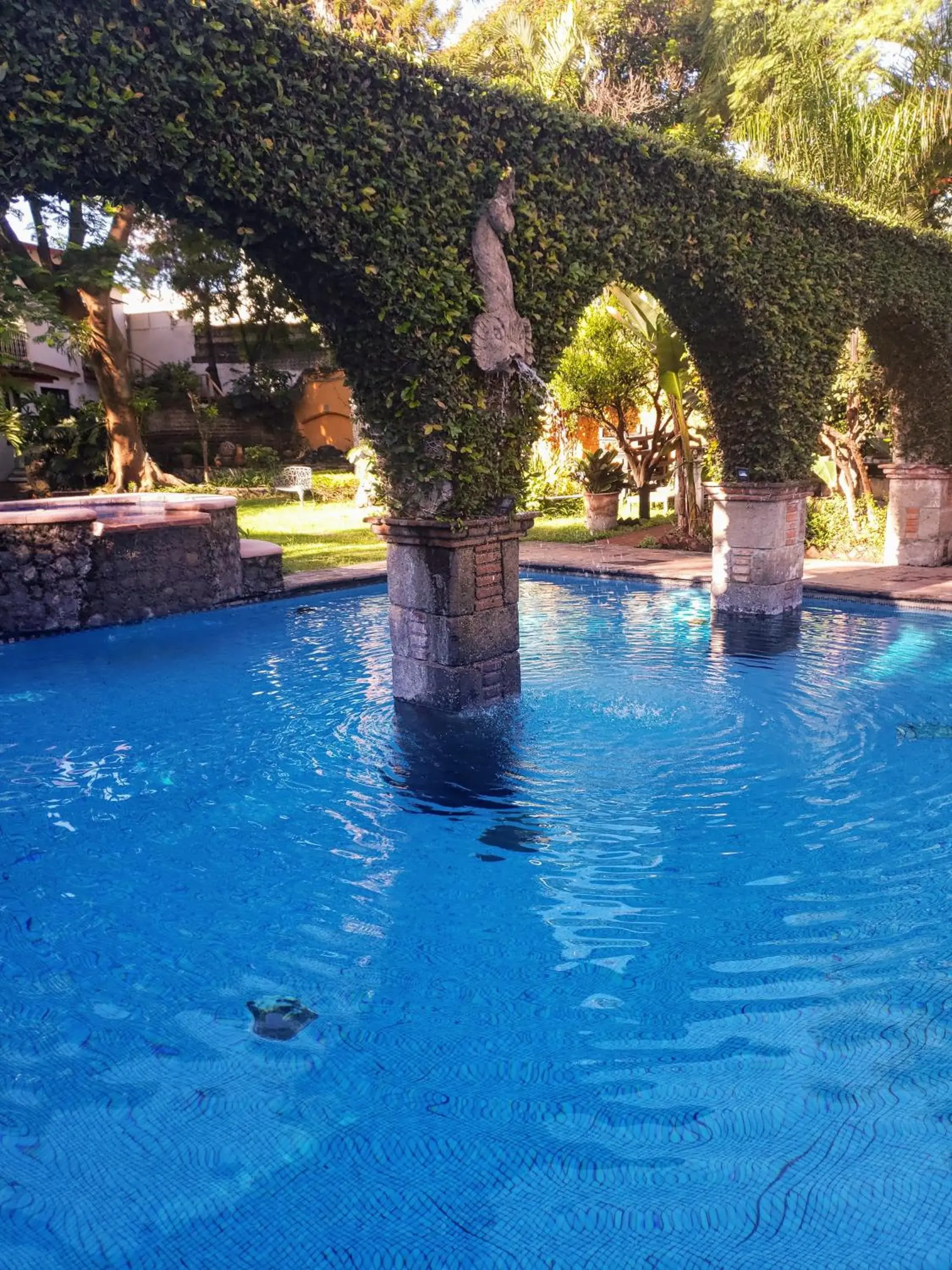 Day, Swimming Pool in La Joyita