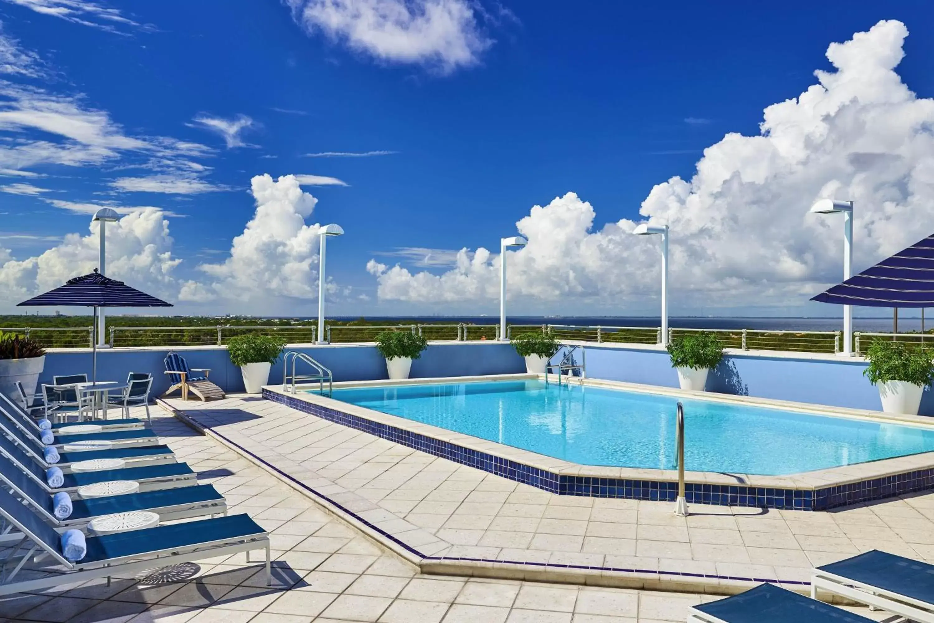 Swimming Pool in The Westshore Grand, A Tribute Portfolio Hotel, Tampa