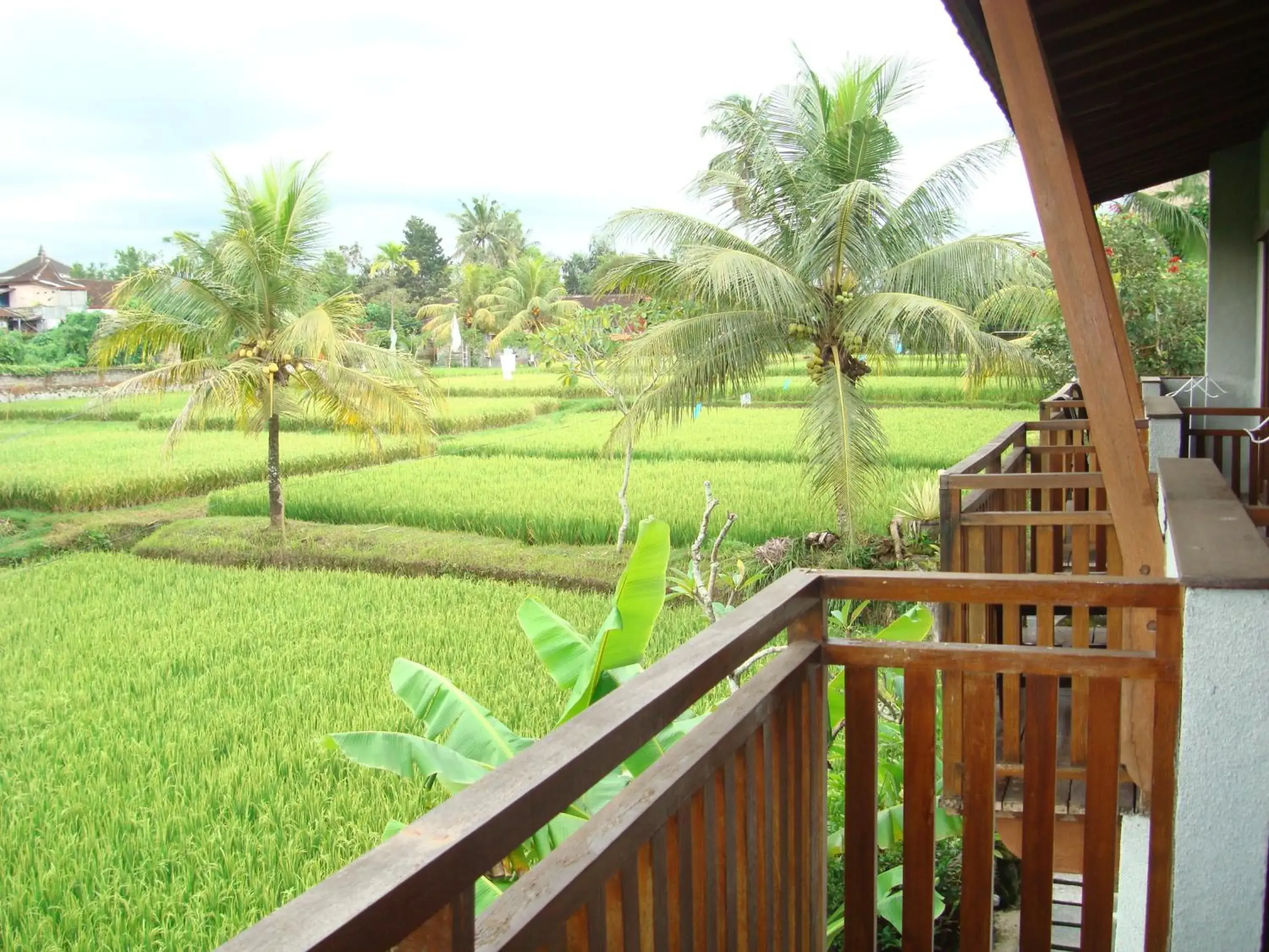 View (from property/room), Balcony/Terrace in Anini Raka Resort & Spa