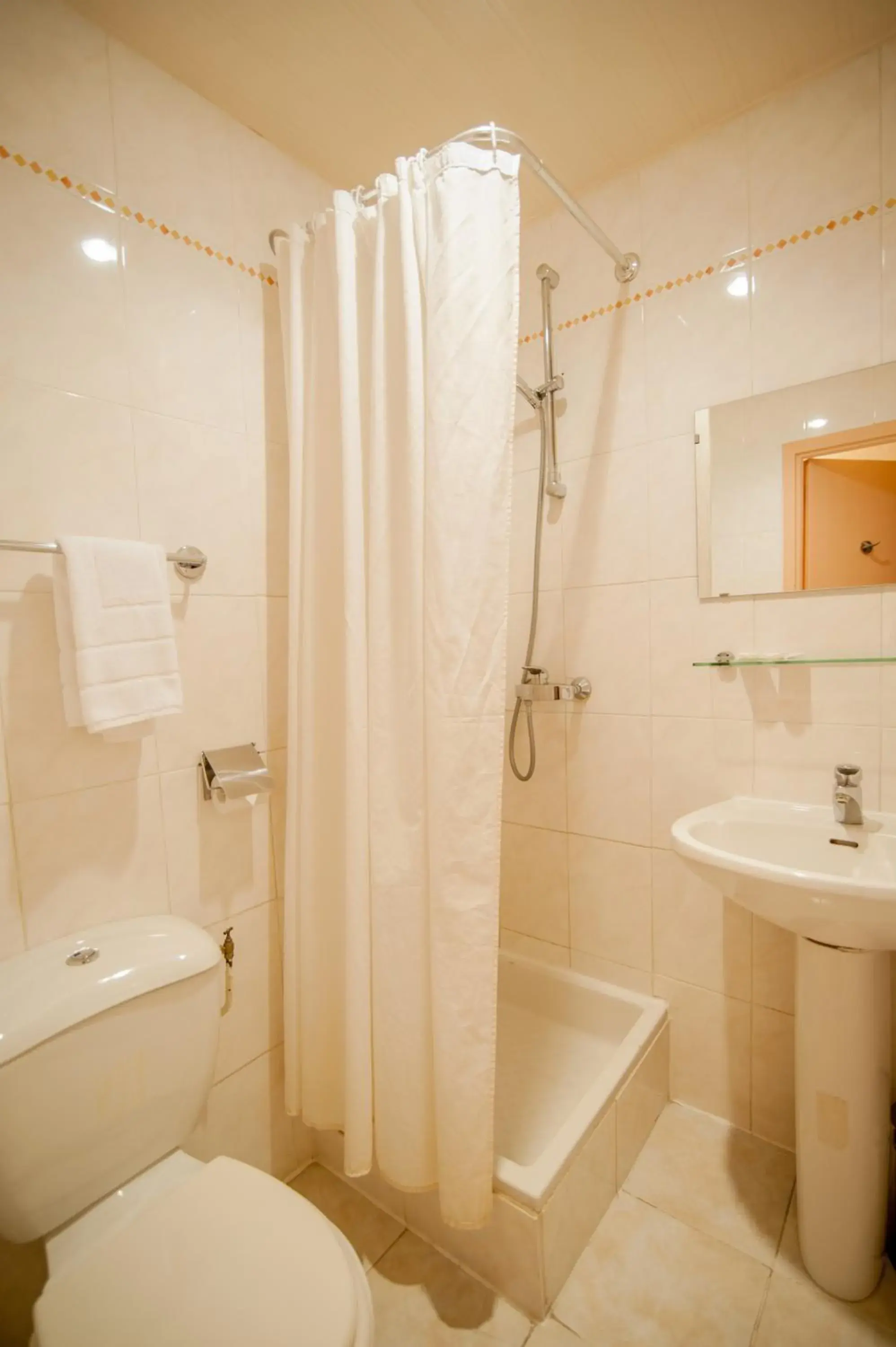 Shower in Hotel Leonard De Vinci