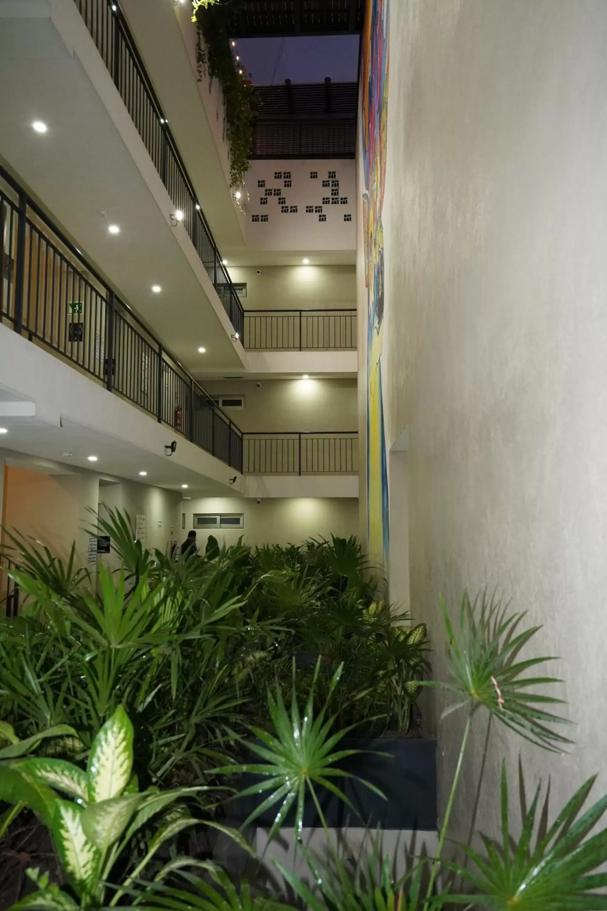 Property Building in Puerto Sayulita