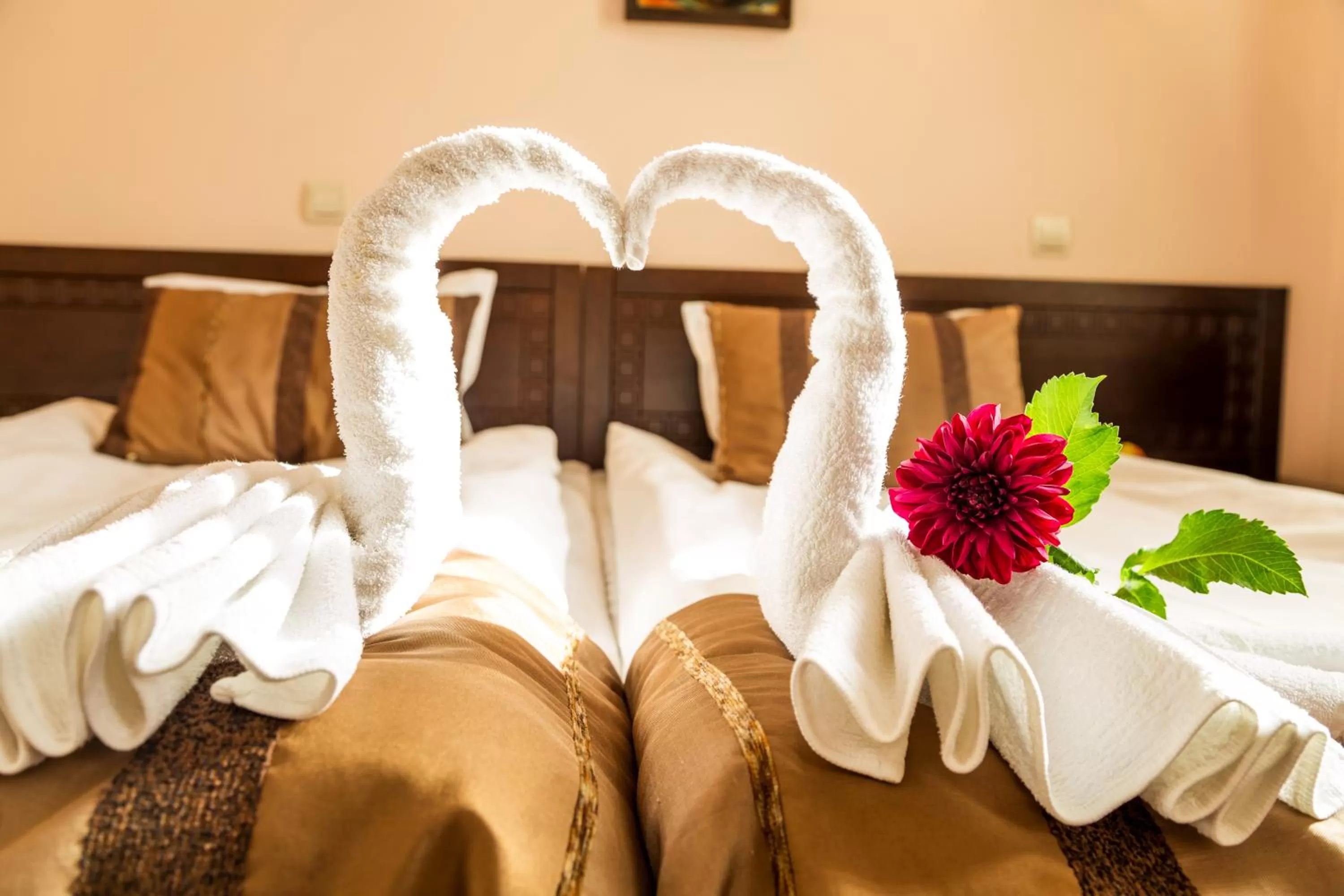 Decorative detail, Bed in Family Hotel Teteven