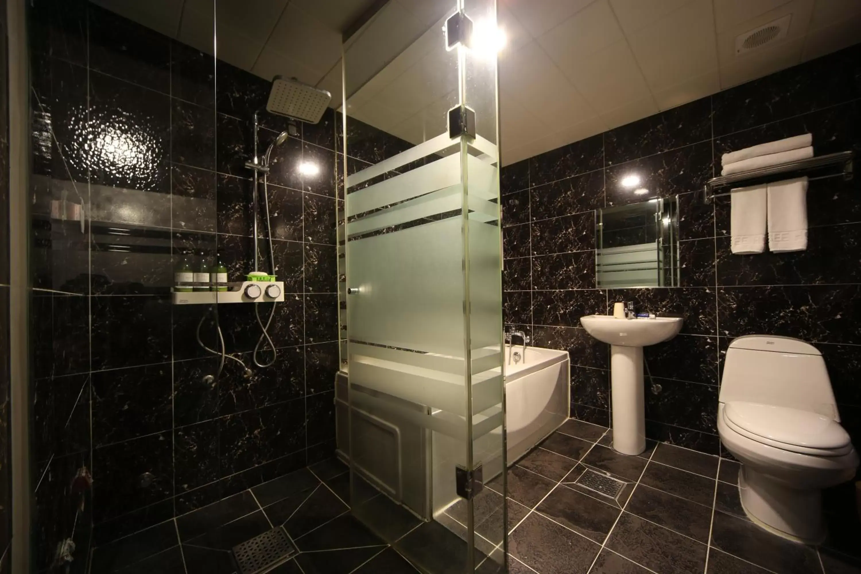 Bathroom in Elysee Hotel