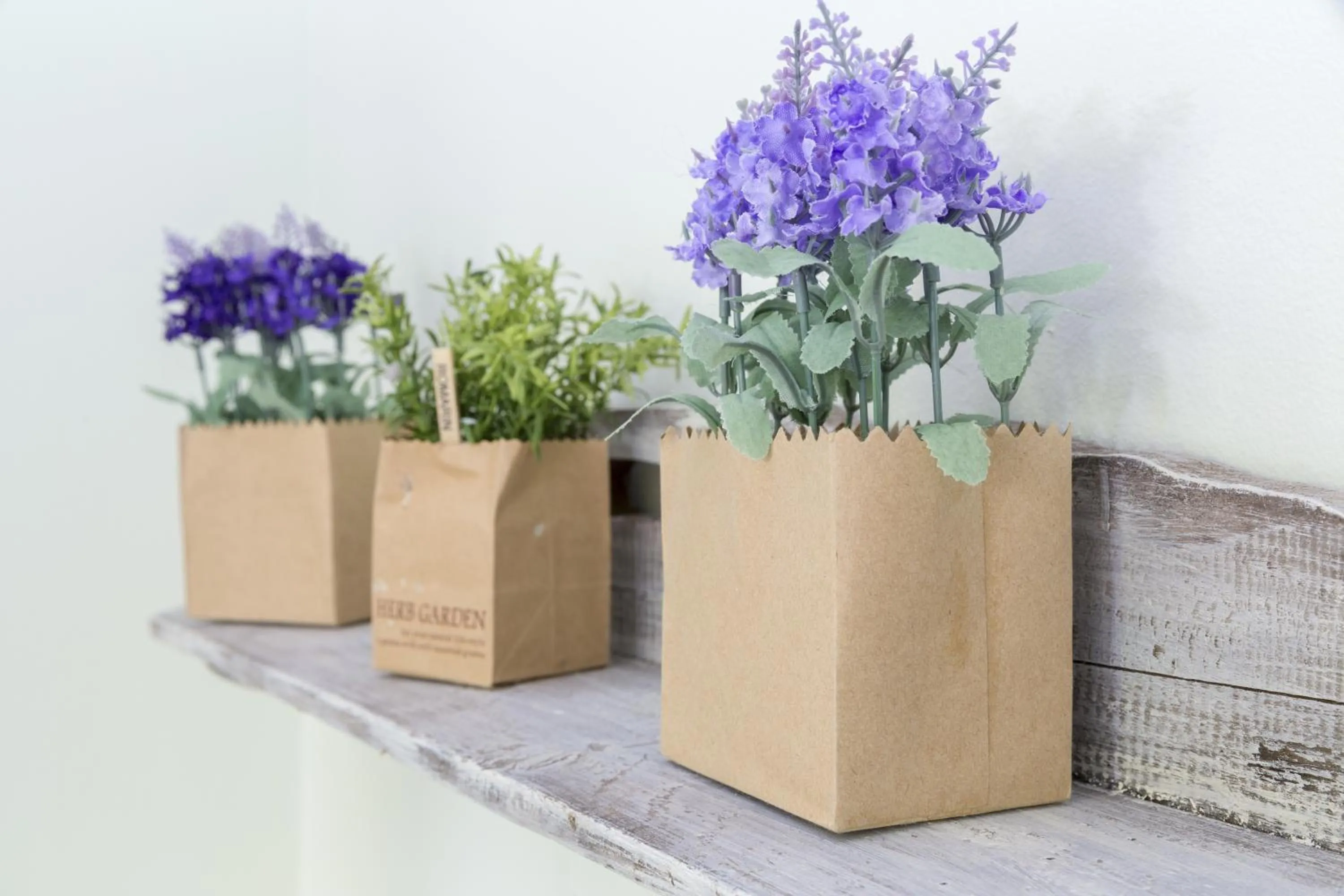 Other in Hotel Villa Stella