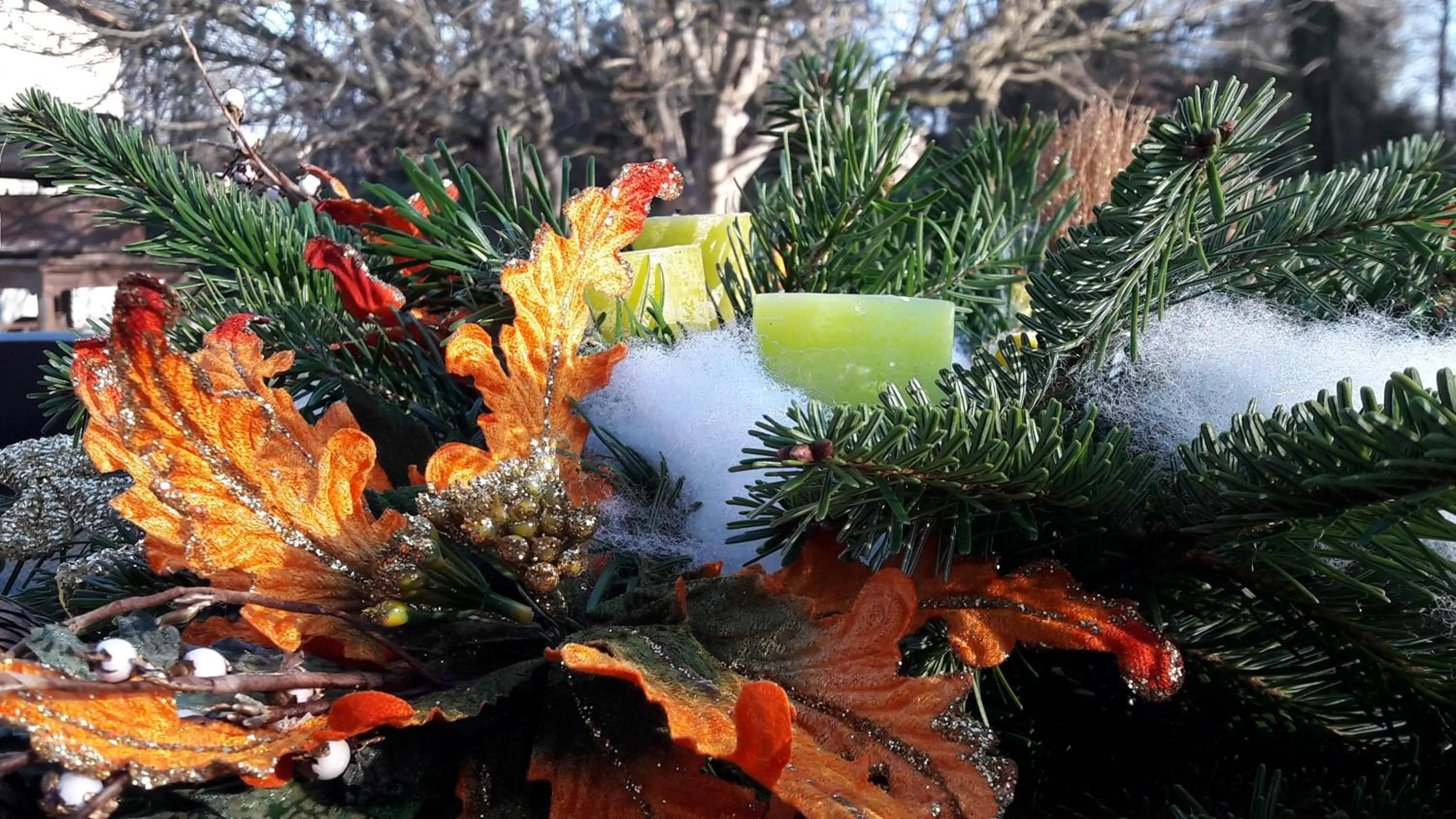 Garden in L'Isolo b&b e case vacanza