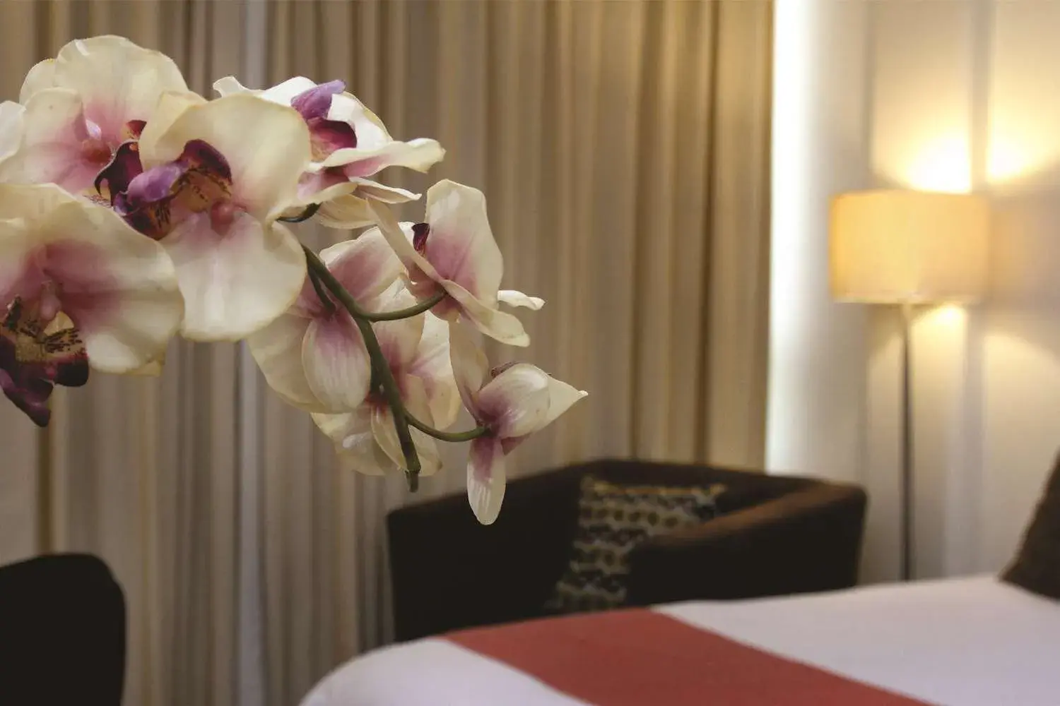 Decorative detail, Bed in Hotel Poza Rica Centro