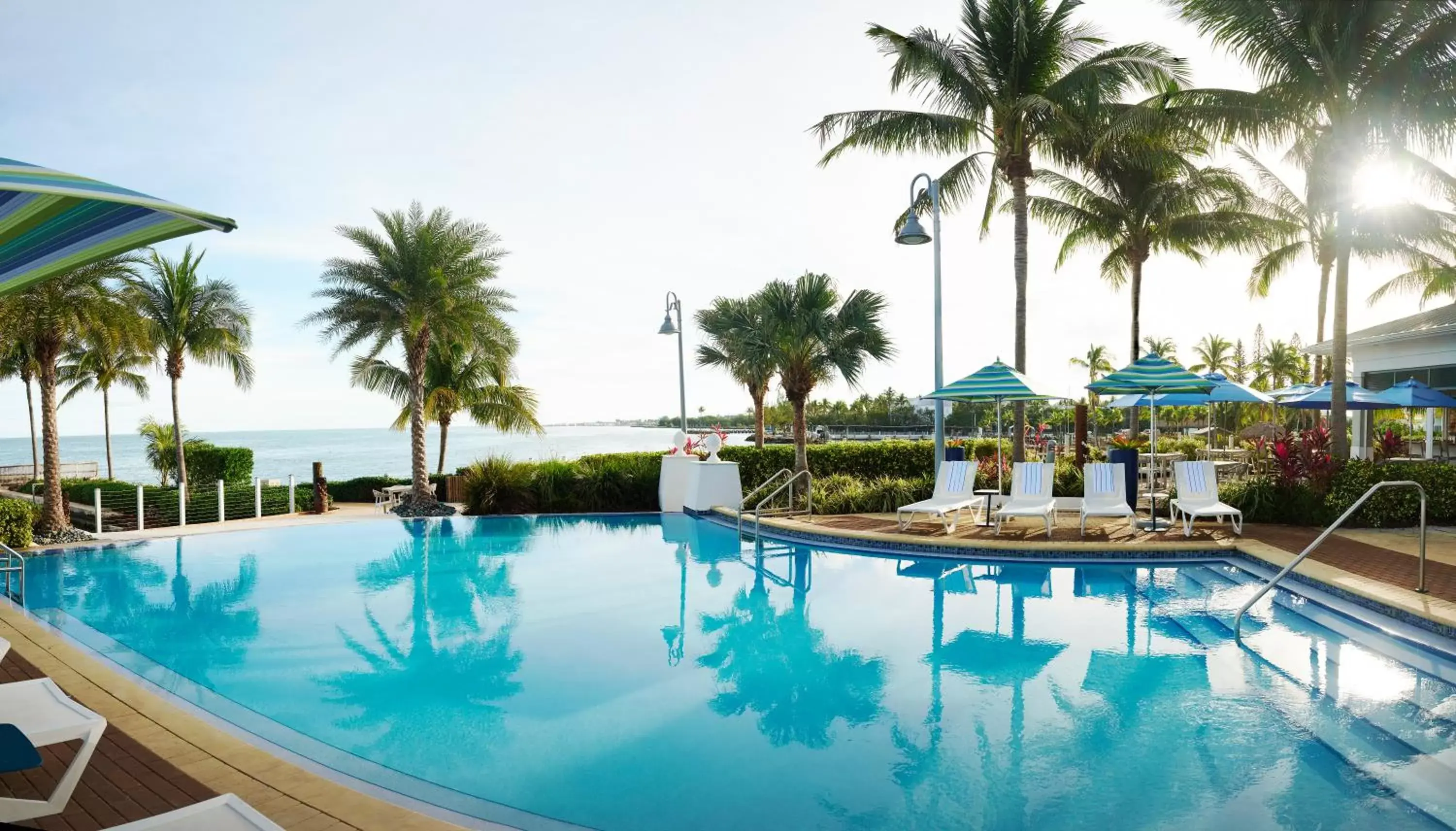 Swimming Pool in Courtyard by Marriott Faro Blanco Resort