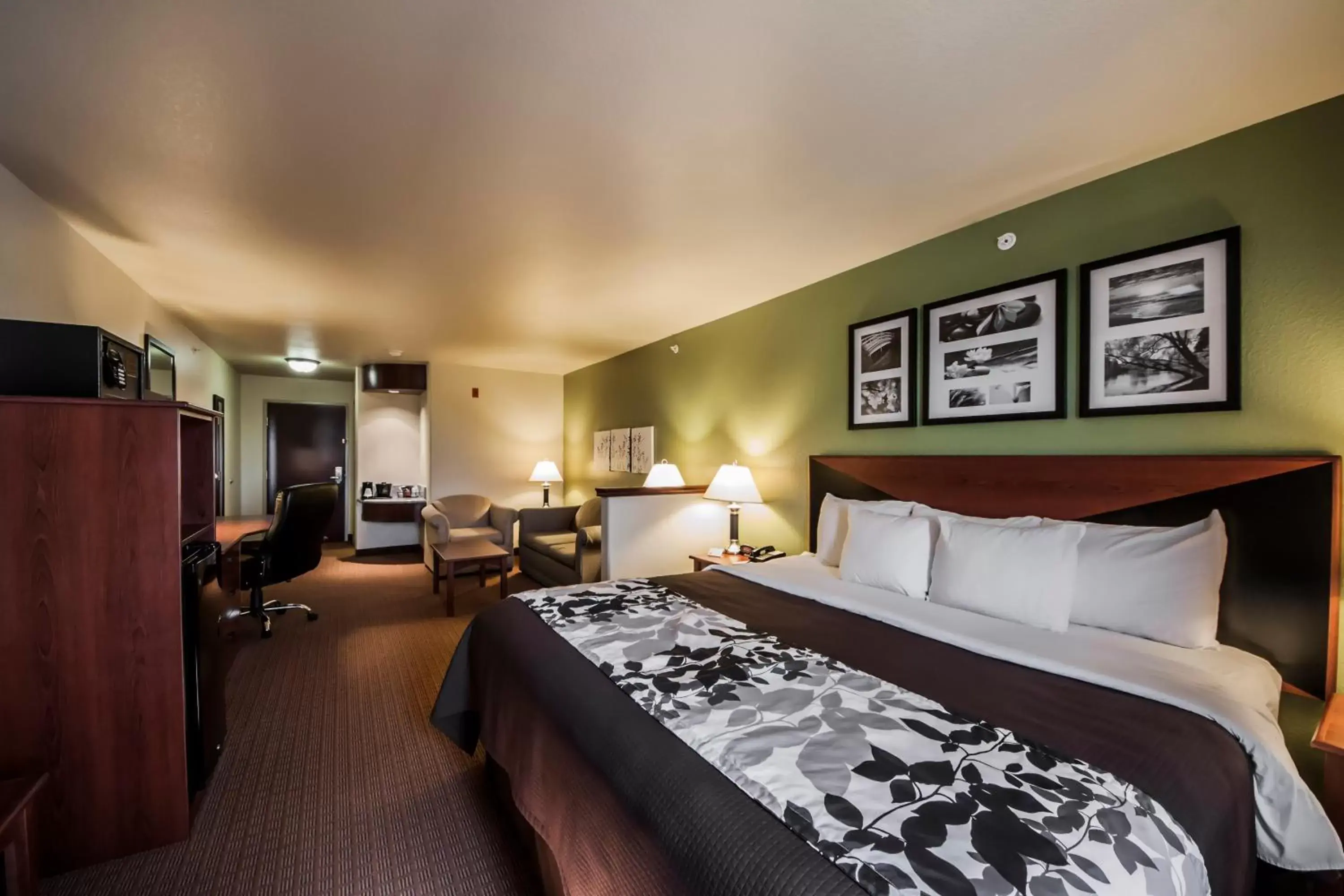 King Suite in Sleep Inn and Suites Shamrock