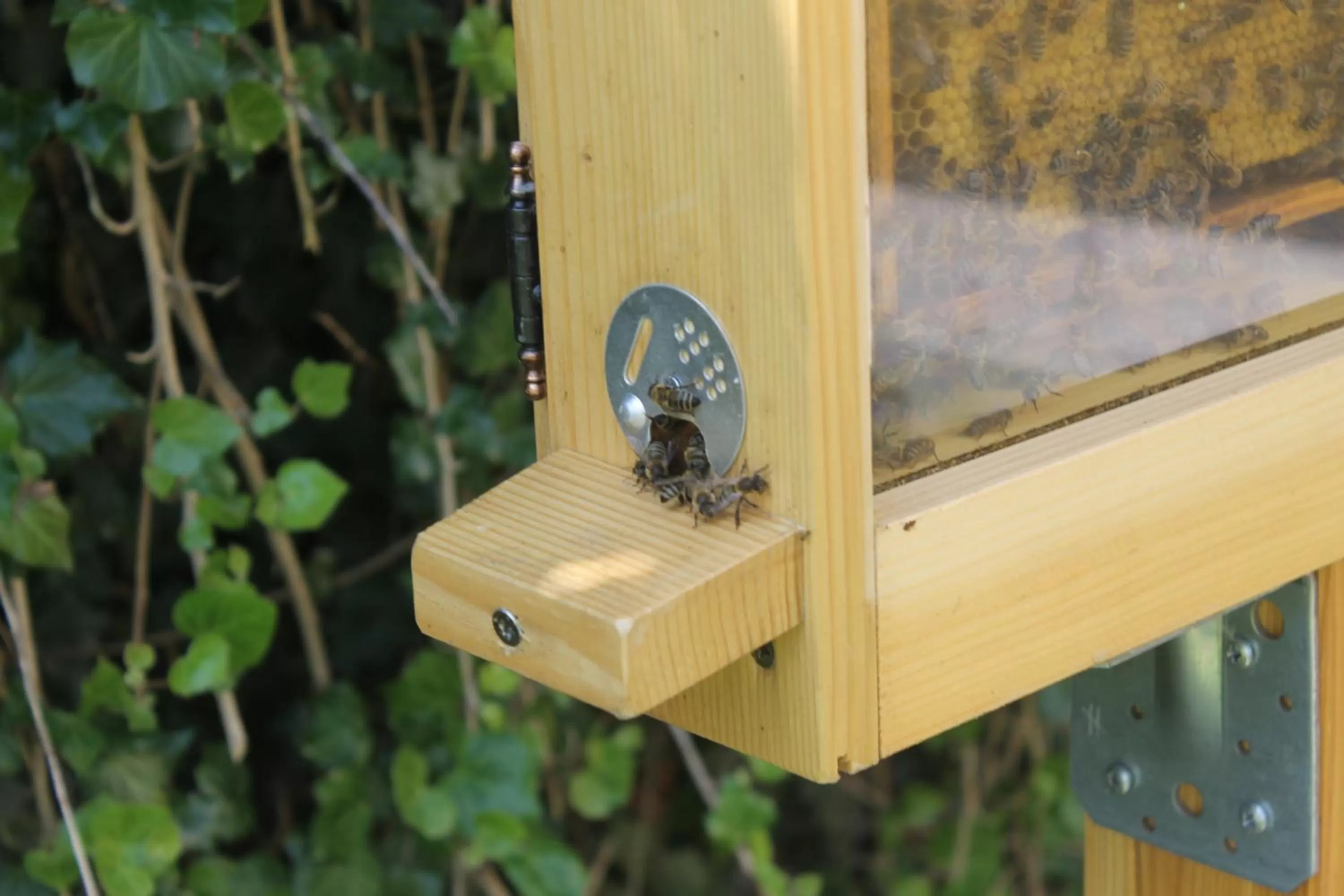 Garden in dasKAISER - Dein Gartenhotel in Tirol