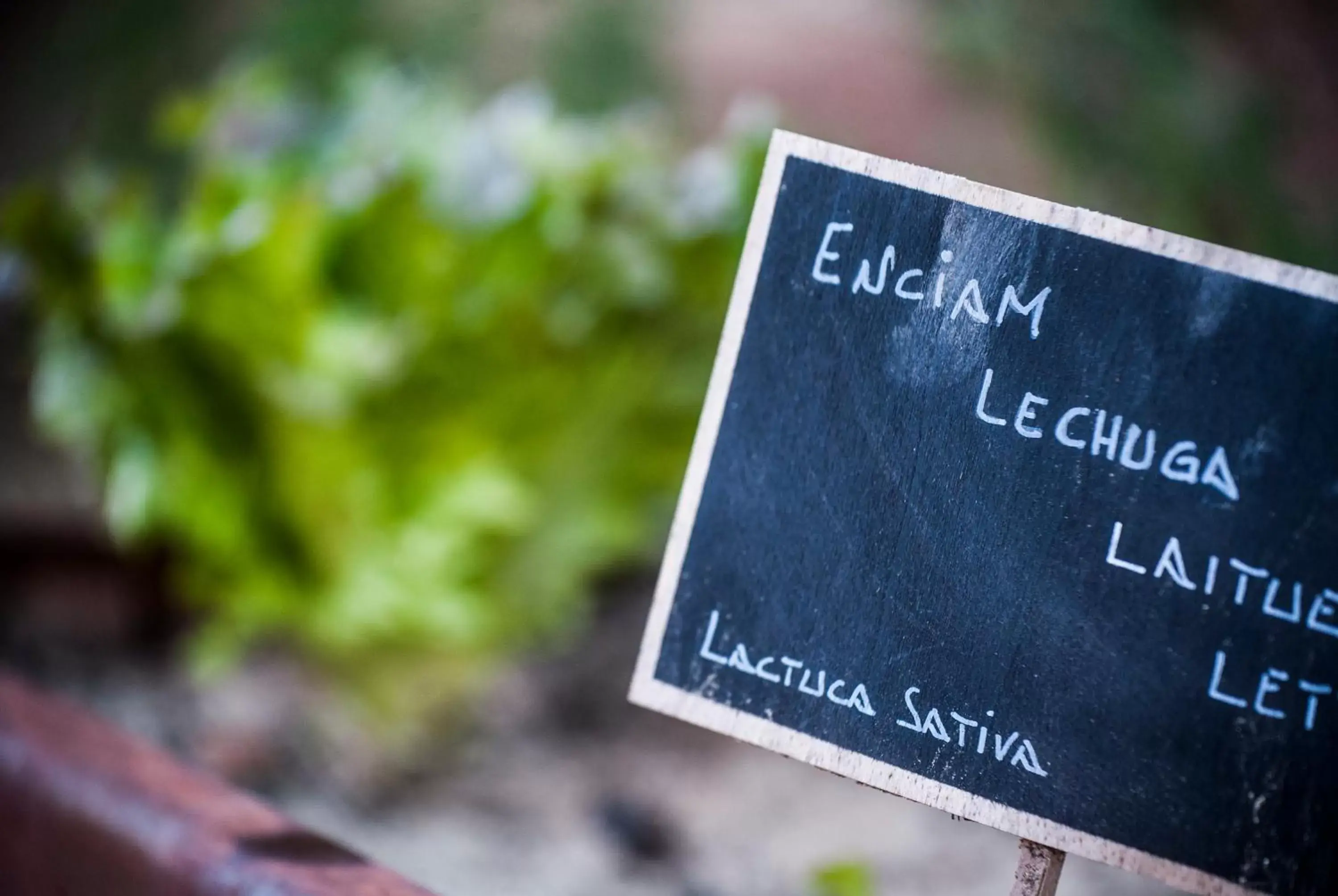 Property building in Mas Tapiolas Property building in Mas Tapiolas