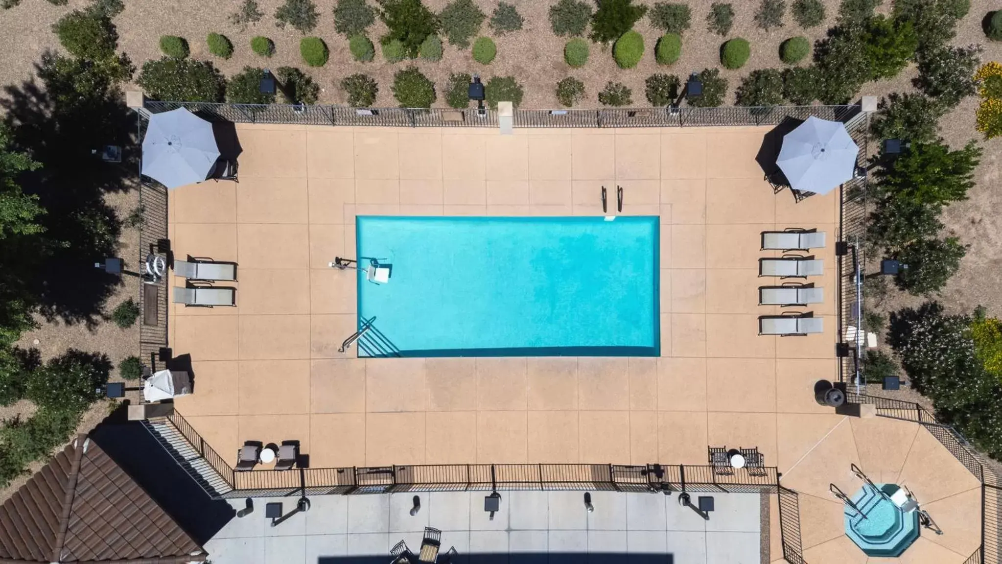 Swimming pool, Pool View in Staybridge Suites Chandler, an IHG Hotel