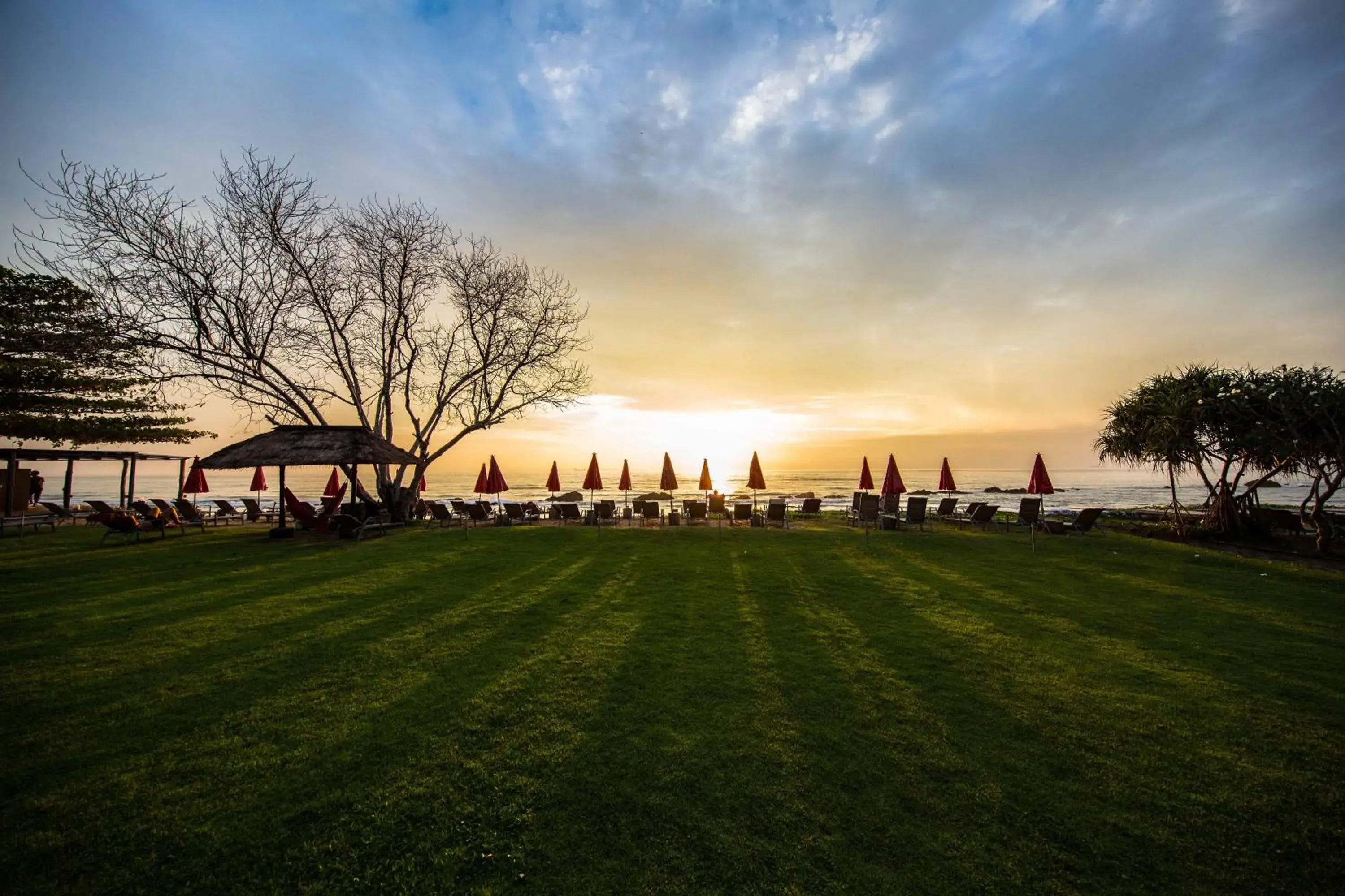 Garden in SriLanta Resort and Spa