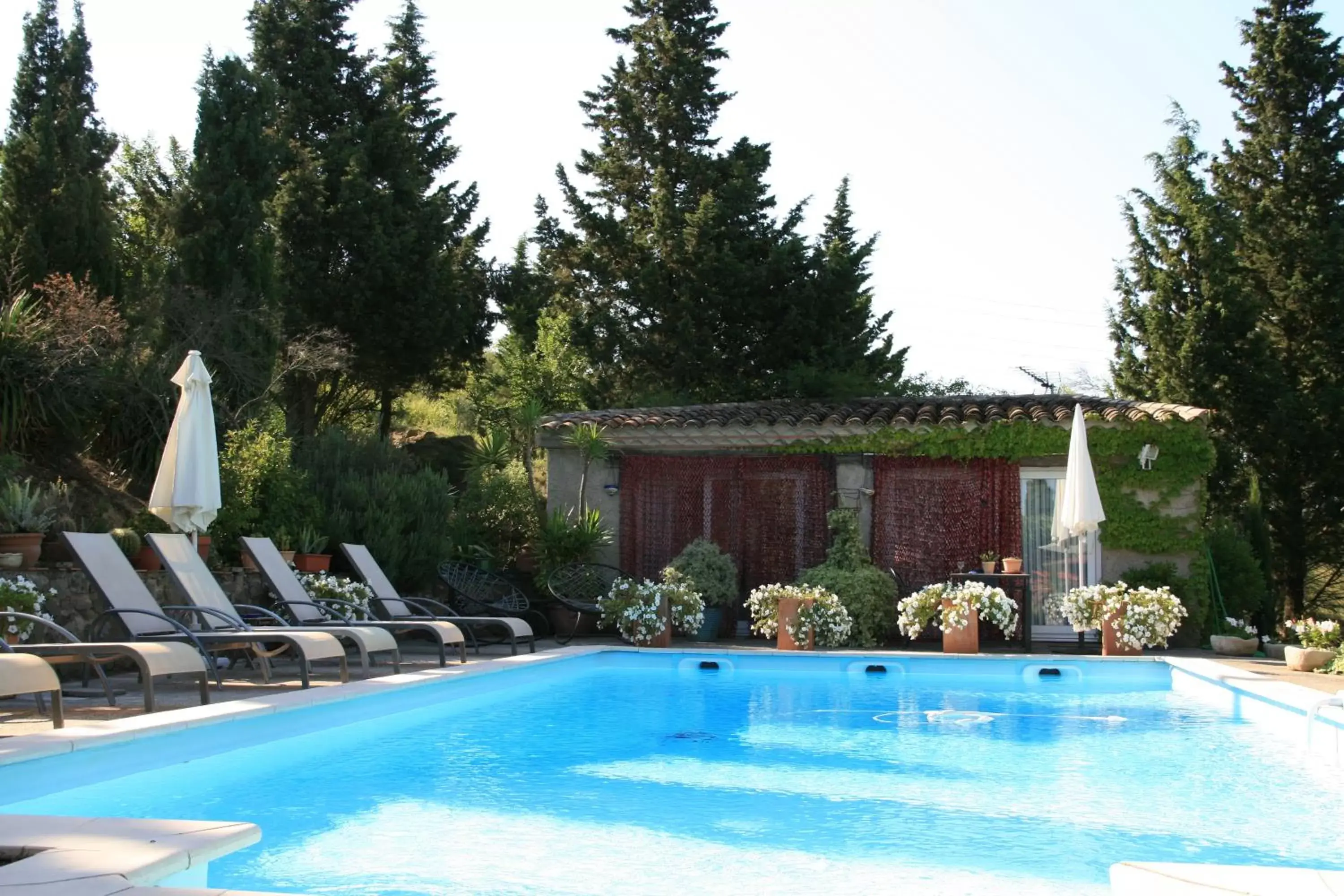 Swimming Pool in La Maison sur la Colline