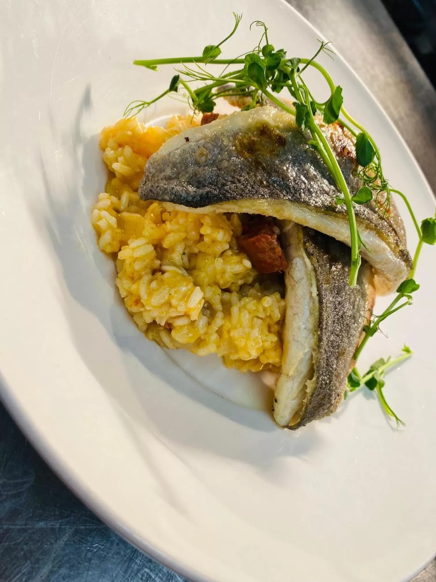 Food and drinks in The Oaks Hotel