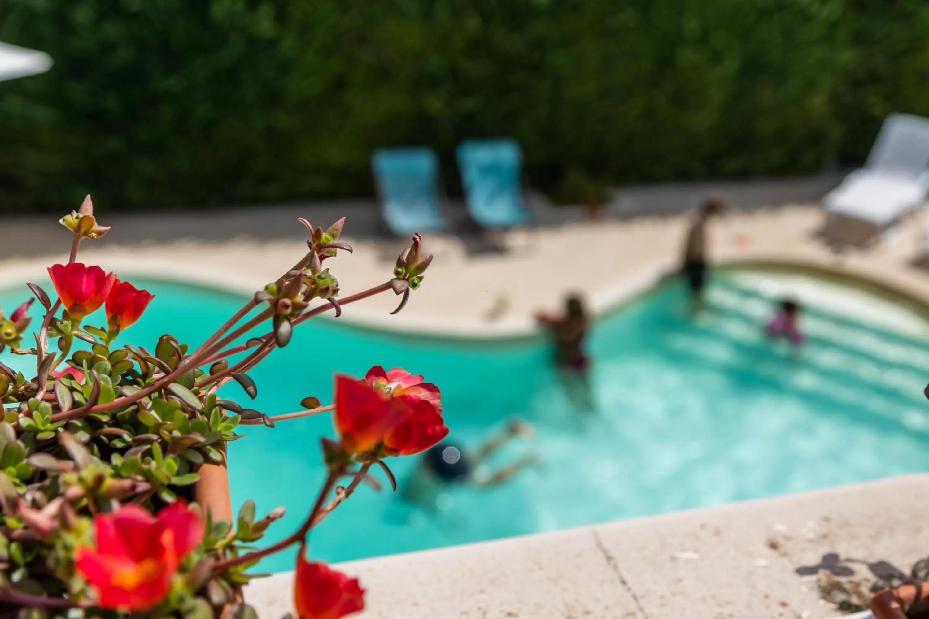 Swimming pool in La Collina di Montegrappa - Suites with Heated Private Pool - Suites with Shared Pool