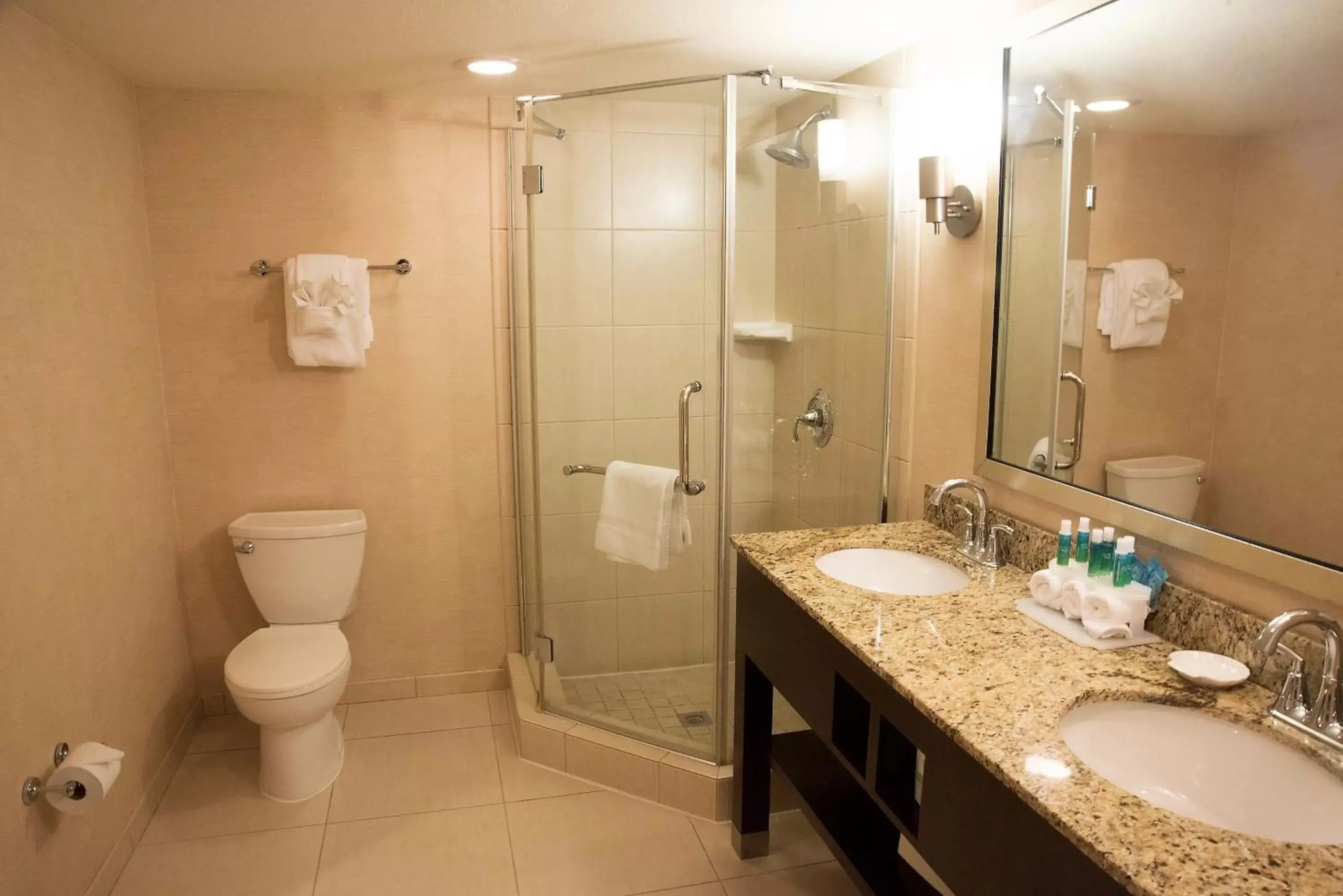 Bathroom in Holiday Inn Express Baltimore BWI Airport West, an IHG Hotel