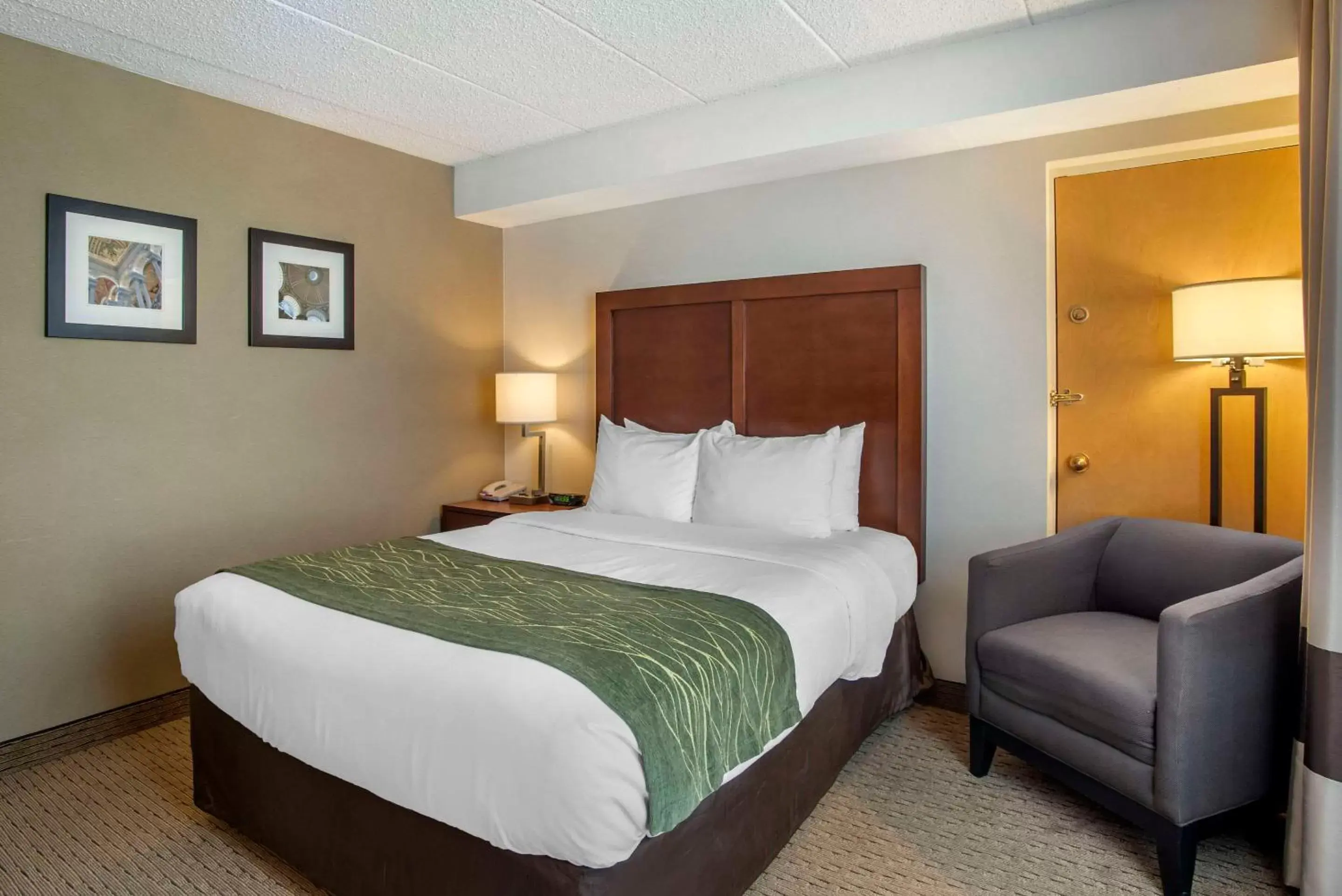 Bedroom, Bed in Comfort Inn Shady Grove - Gaithersburg - Rockville