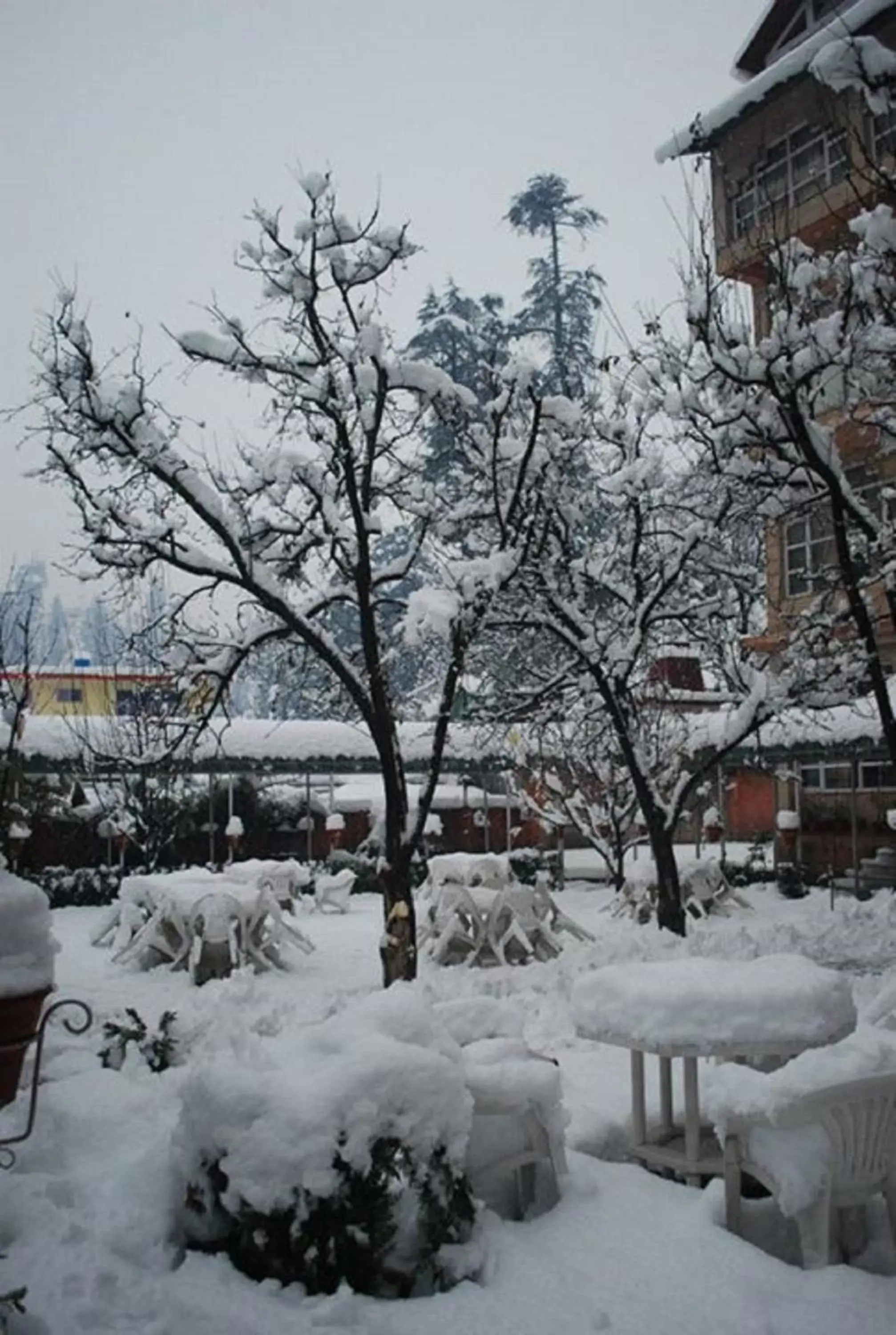 Day, Winter in The Manali Inn