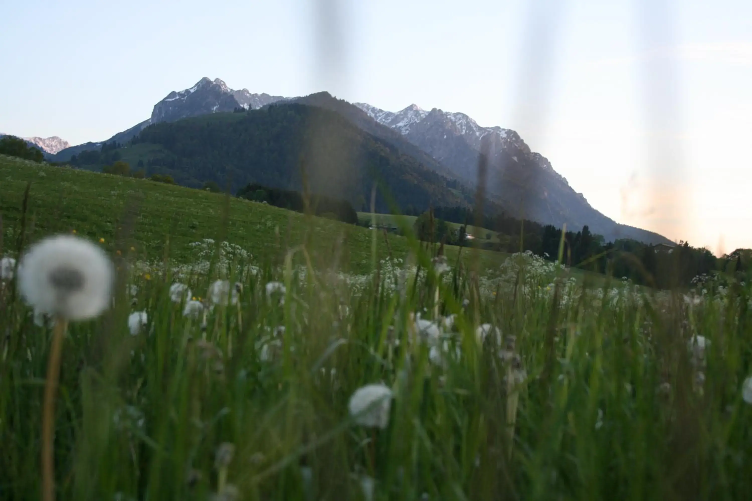 Natural Landscape in Hotel Riedl