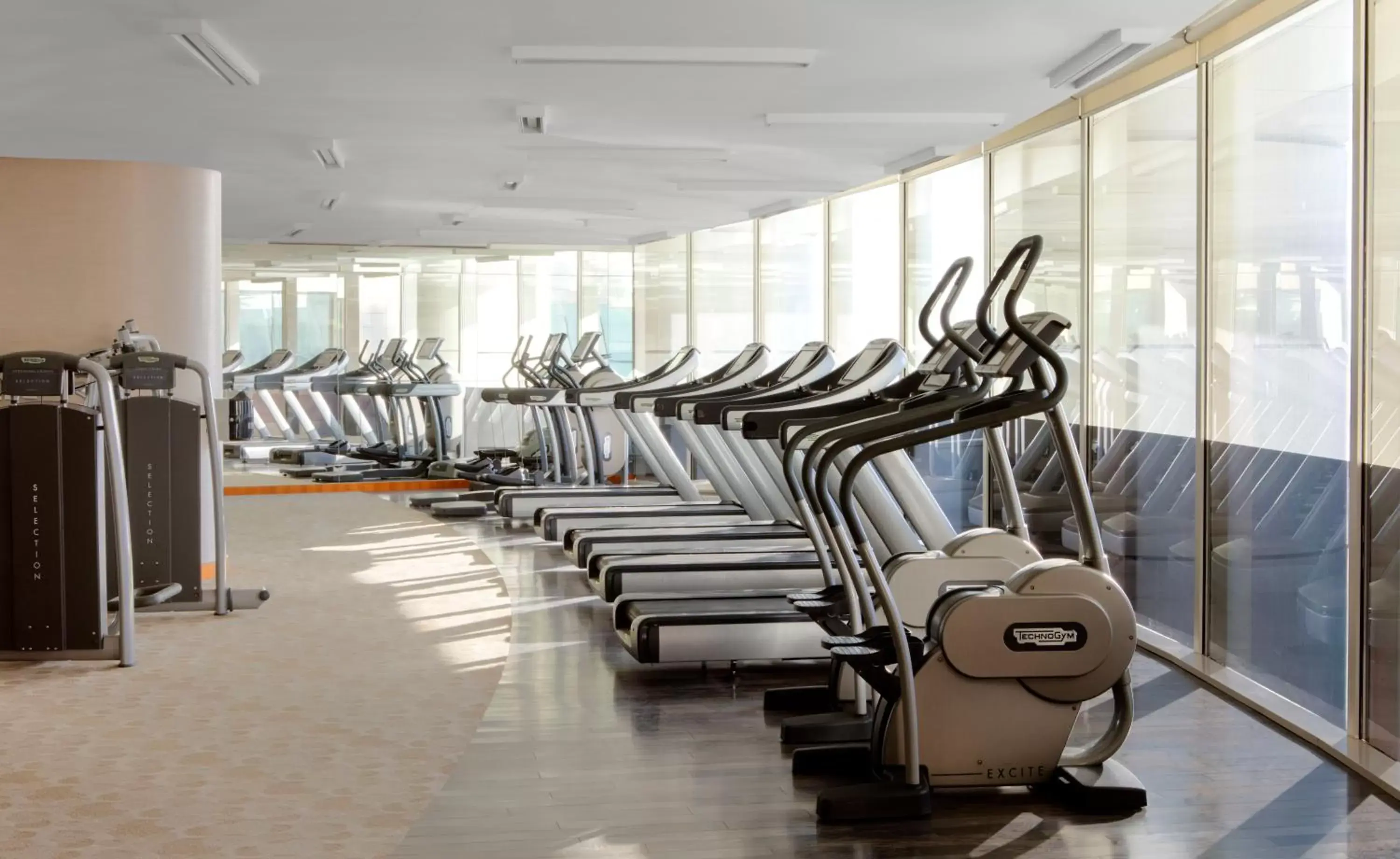 Fitness centre/facilities, Fitness Center/Facilities in Crowne Plaza Dubai Festival City