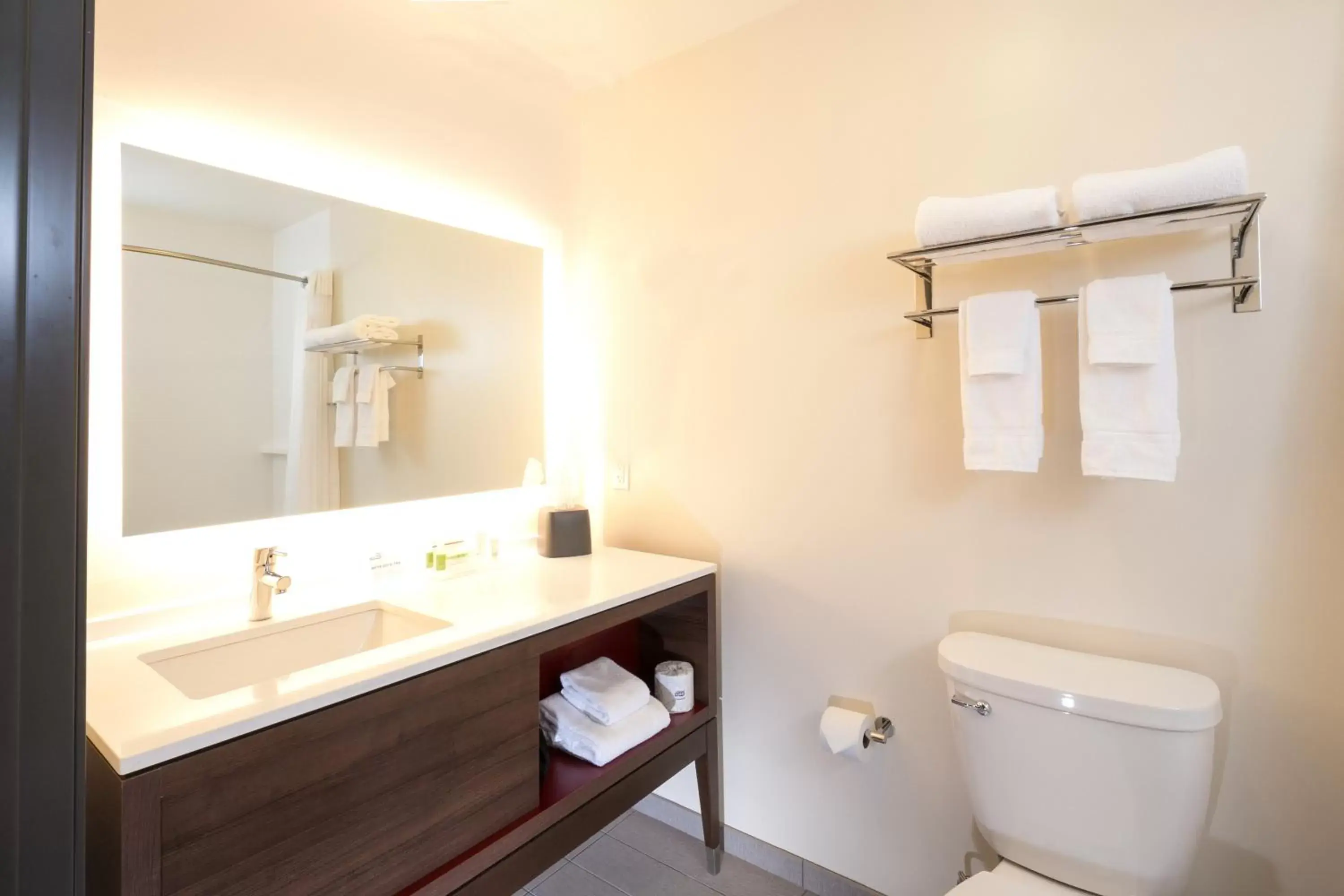 Bathroom in Holiday Inn - Kalamazoo West, an IHG Hotel
