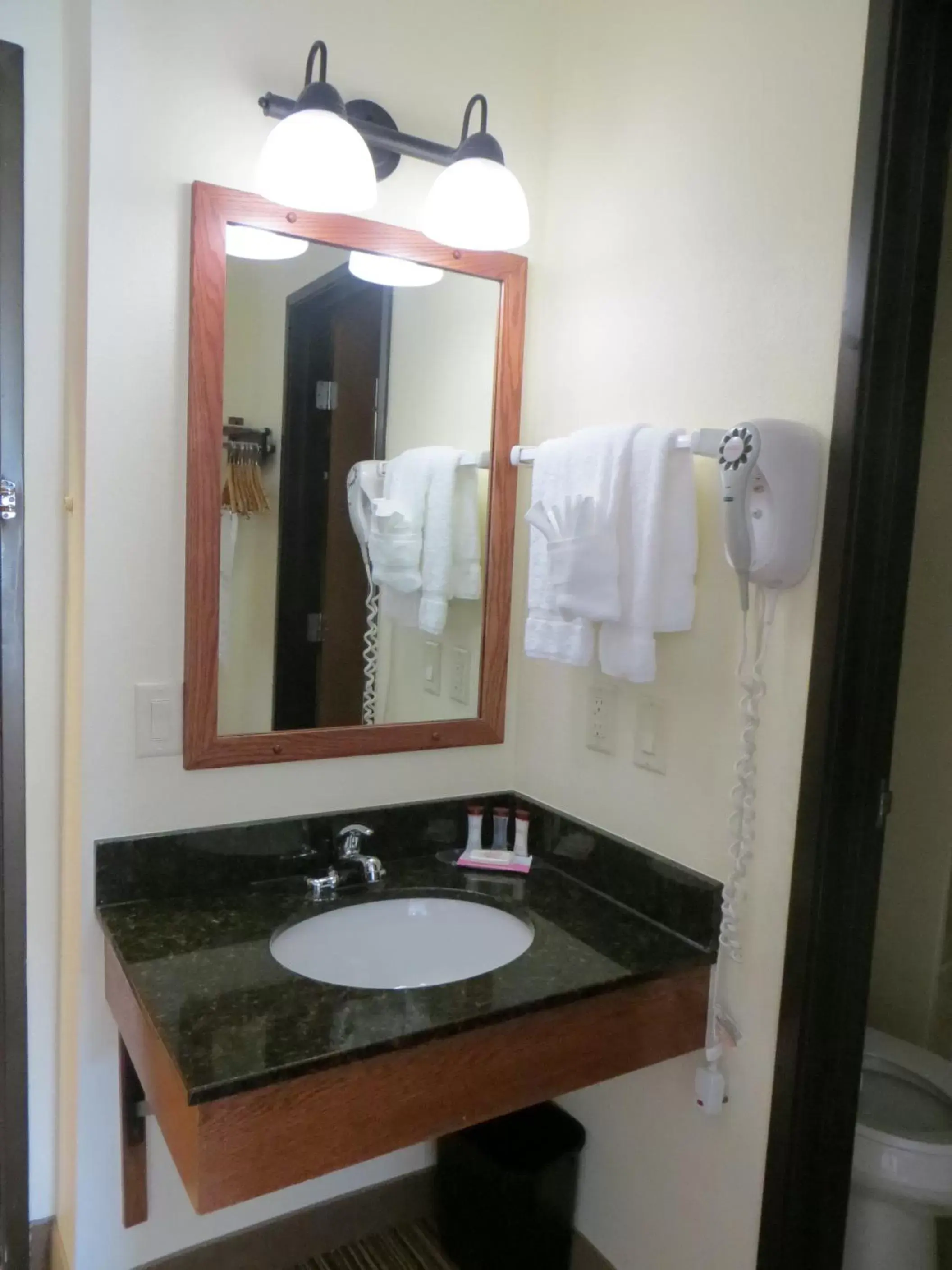 Bathroom in Ramada by Wyndham Wisconsin Dells