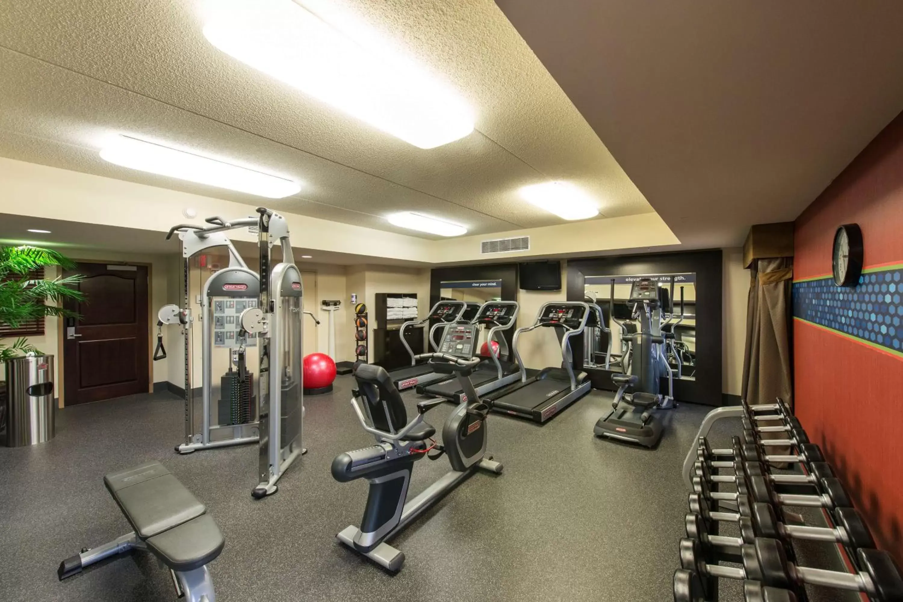 Fitness centre/facilities, Fitness Center/Facilities in Hampton Inn & Suites Albany-Downtown