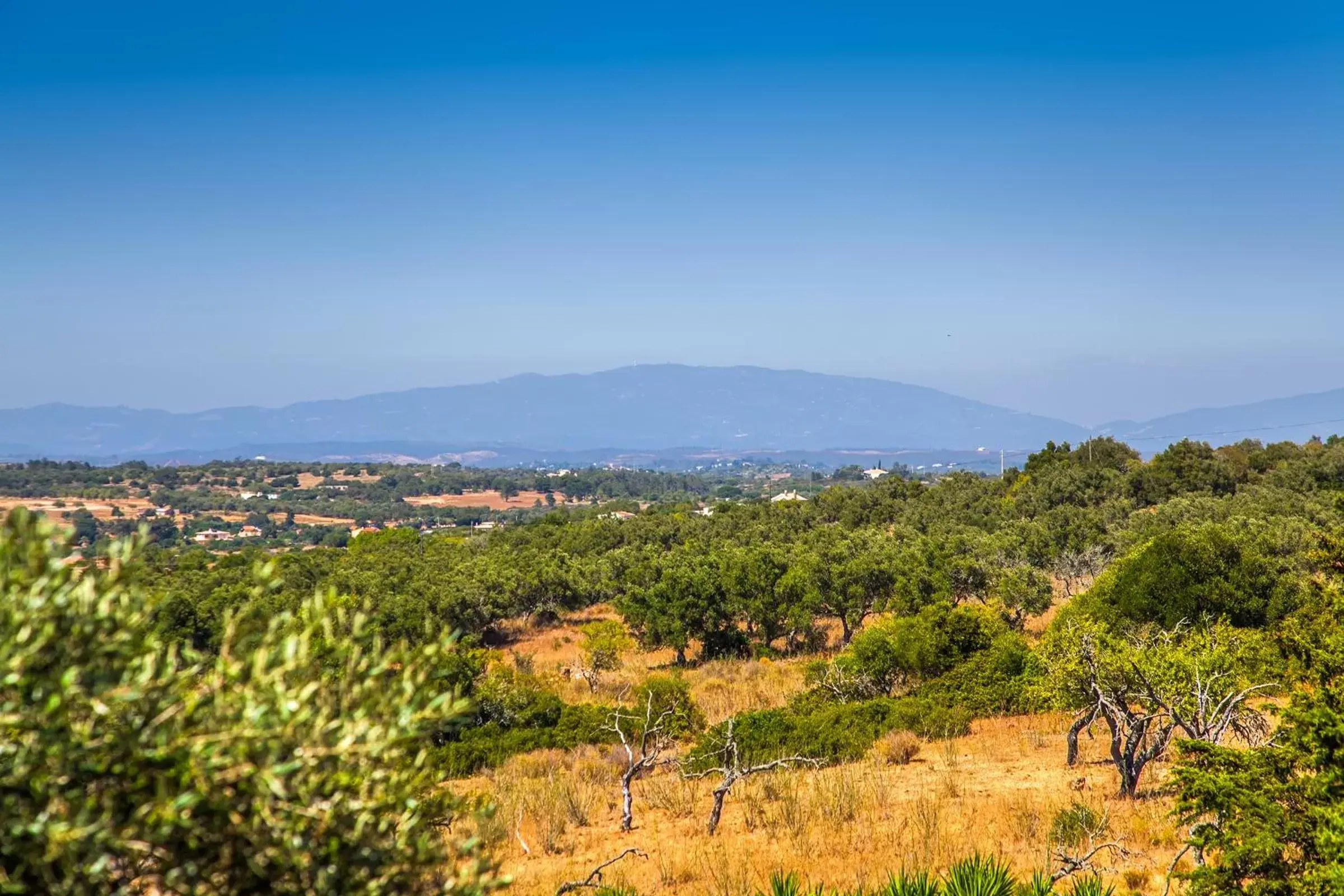 View (from property/room) in Montinho De Ouro View (from property/room) in Montinho De Ouro
