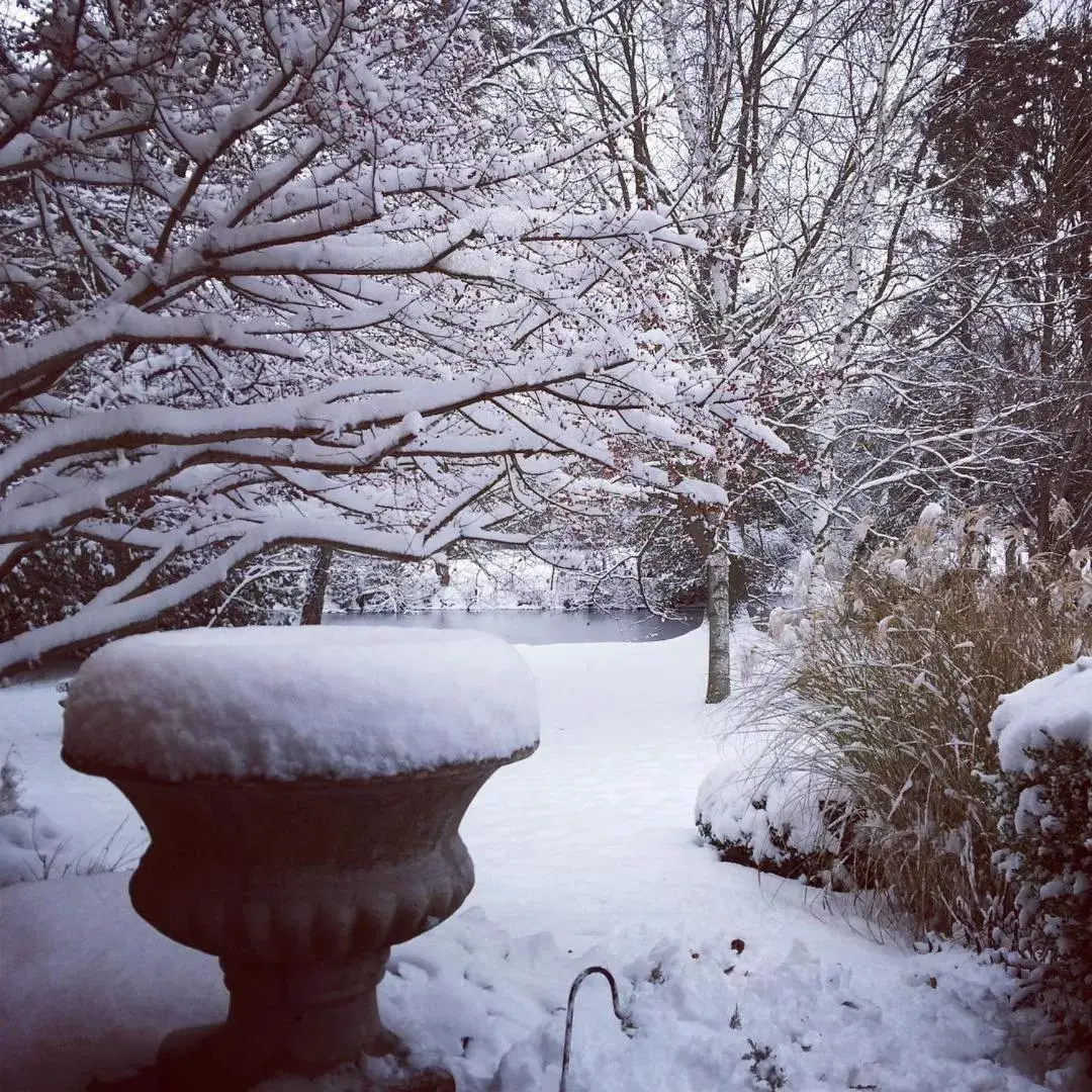 Garden, Winter in Tailwinds B&B