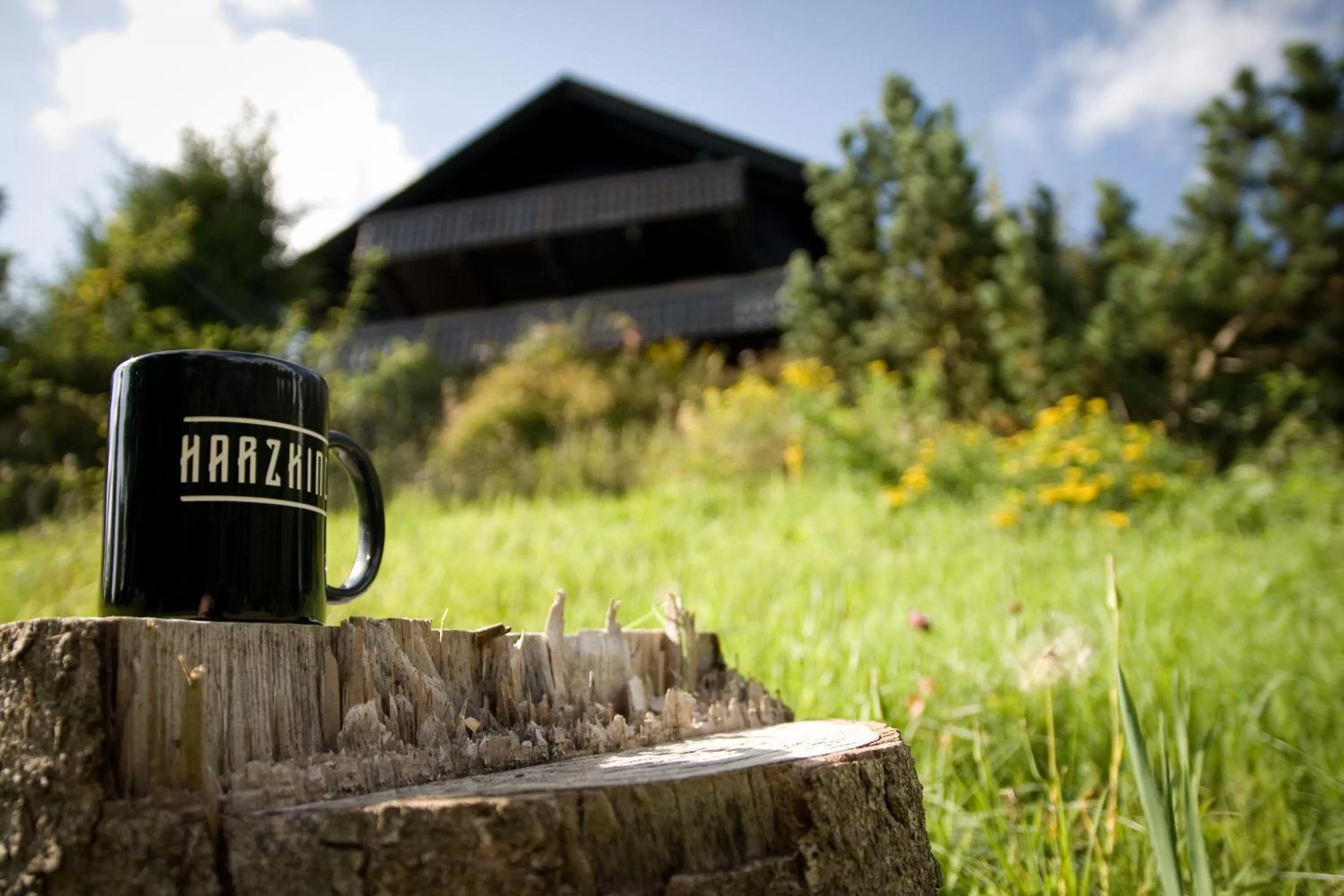 Garden in Harz BnB Werkmeister