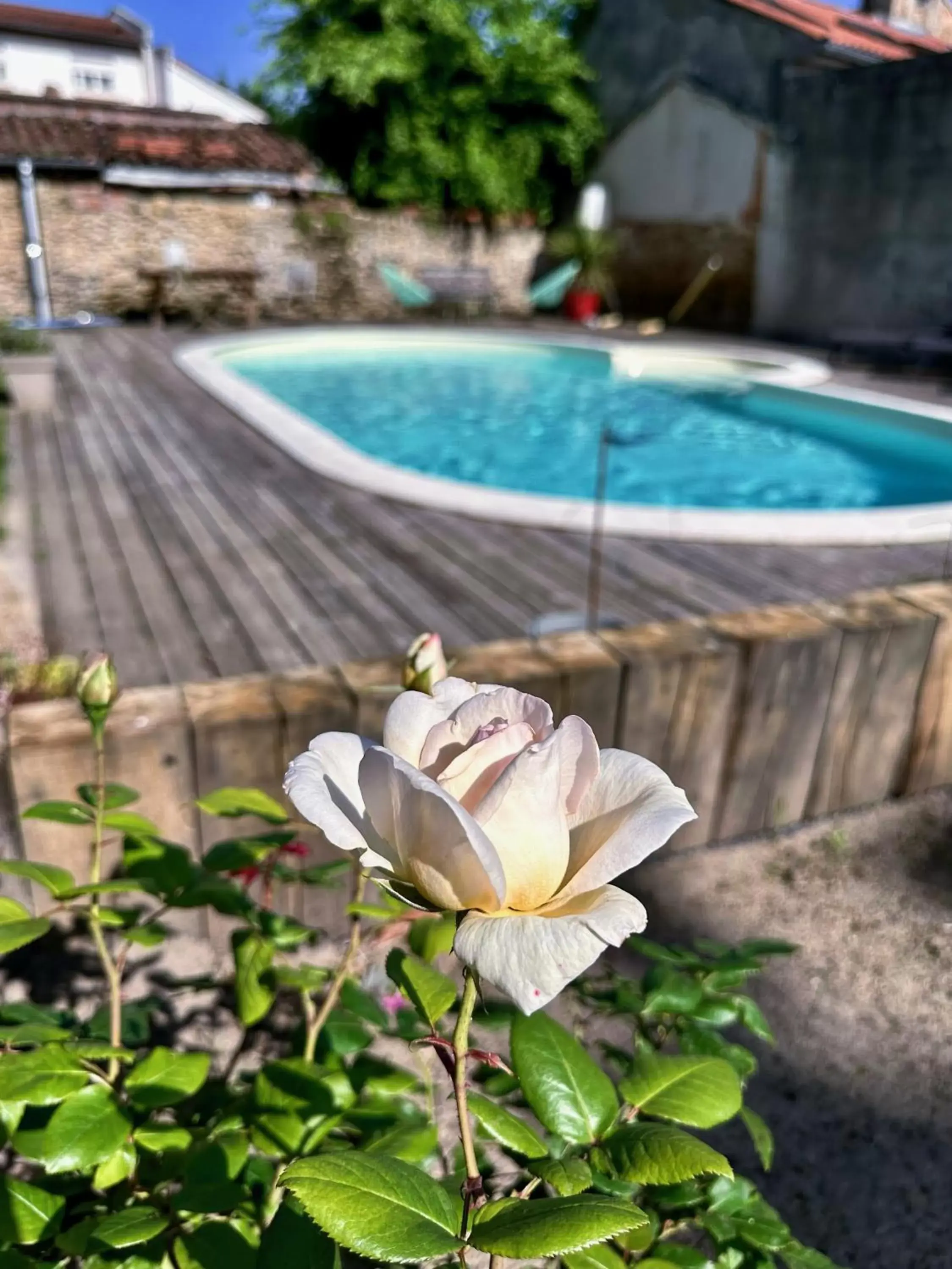 Swimming Pool in La Maison Florence