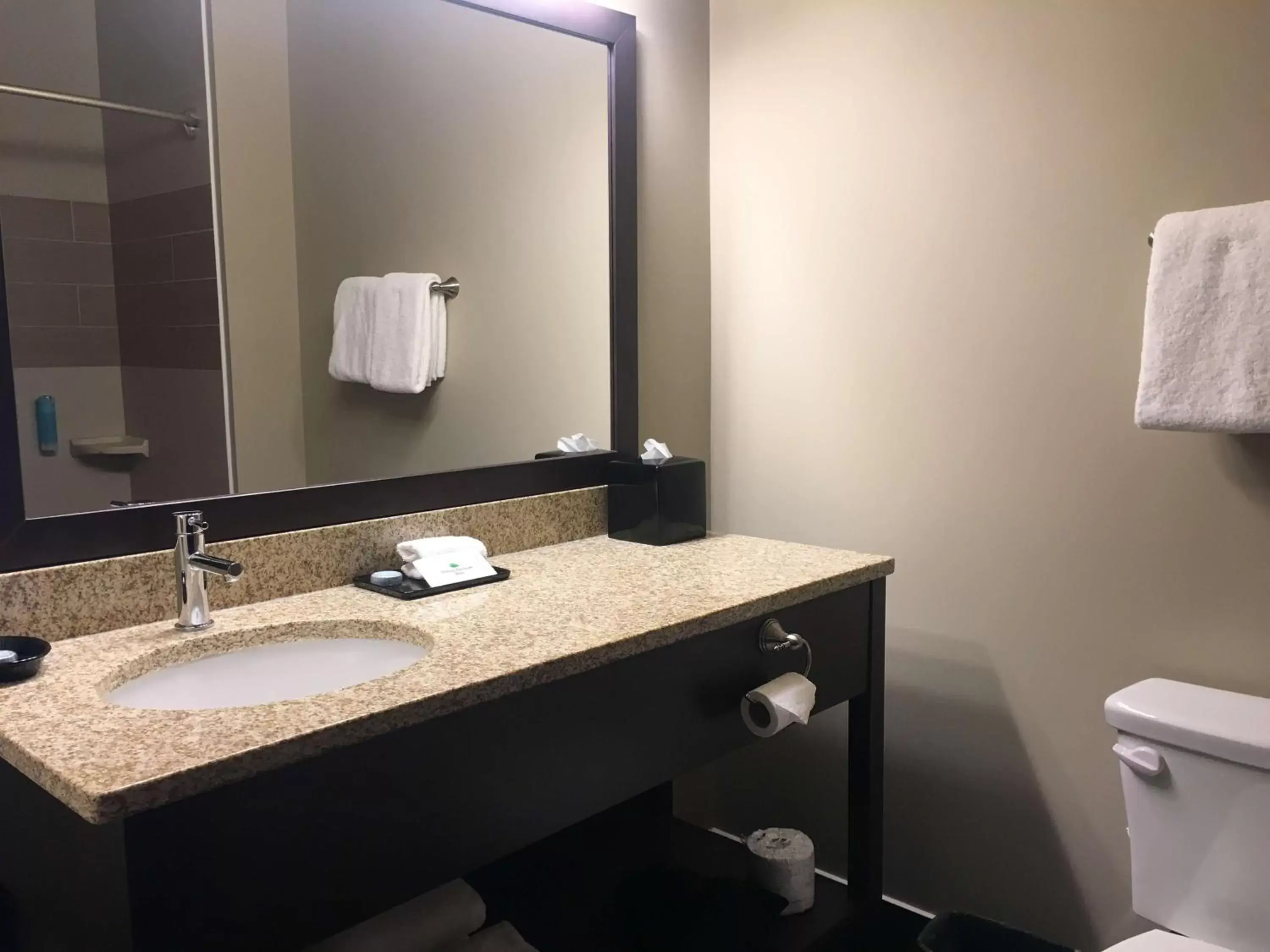 Bathroom in Best Western Plus Lacombe Inn and Suites