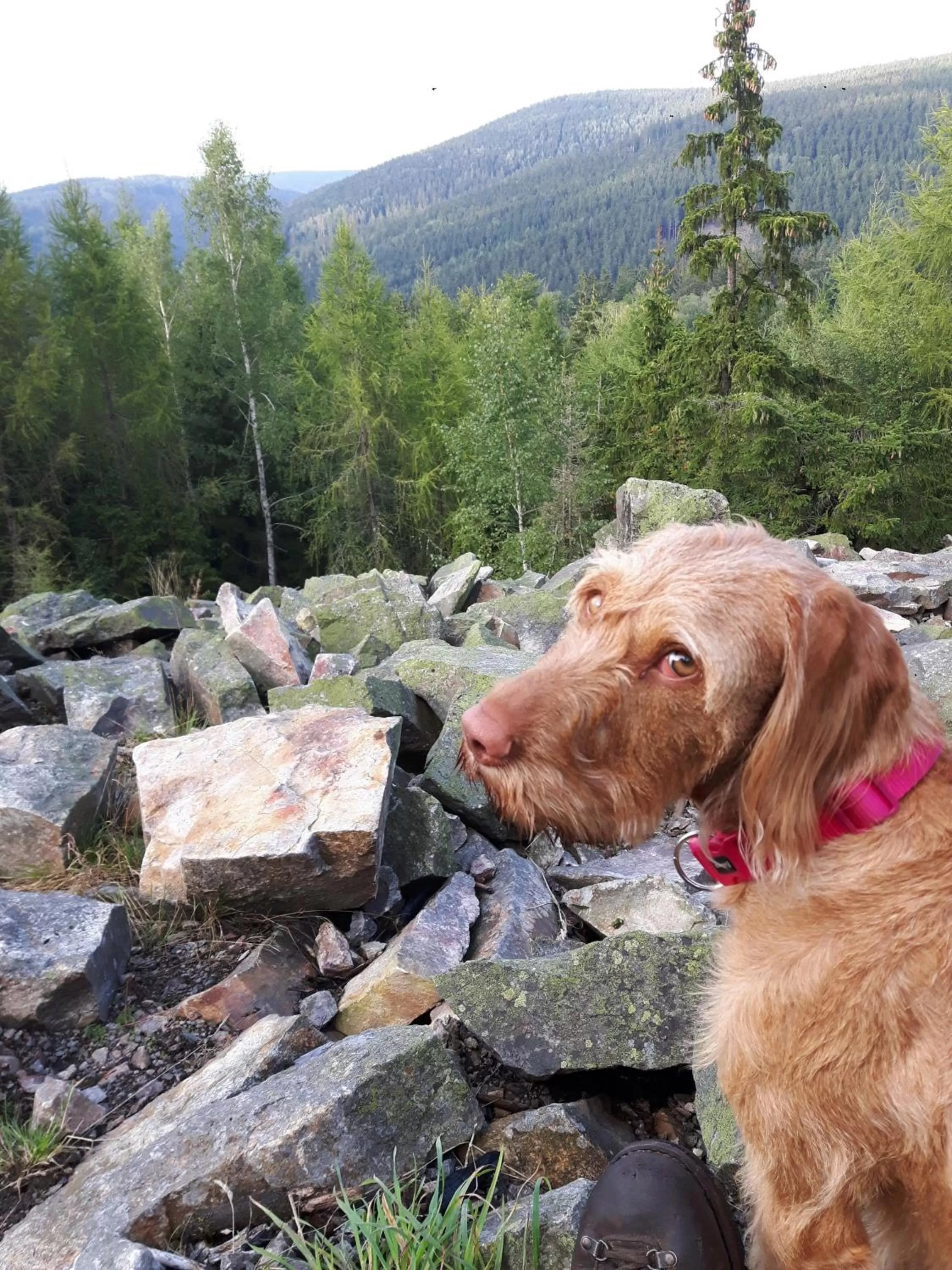 Staff in Erzgebirgshotel Misnia Bärenfels