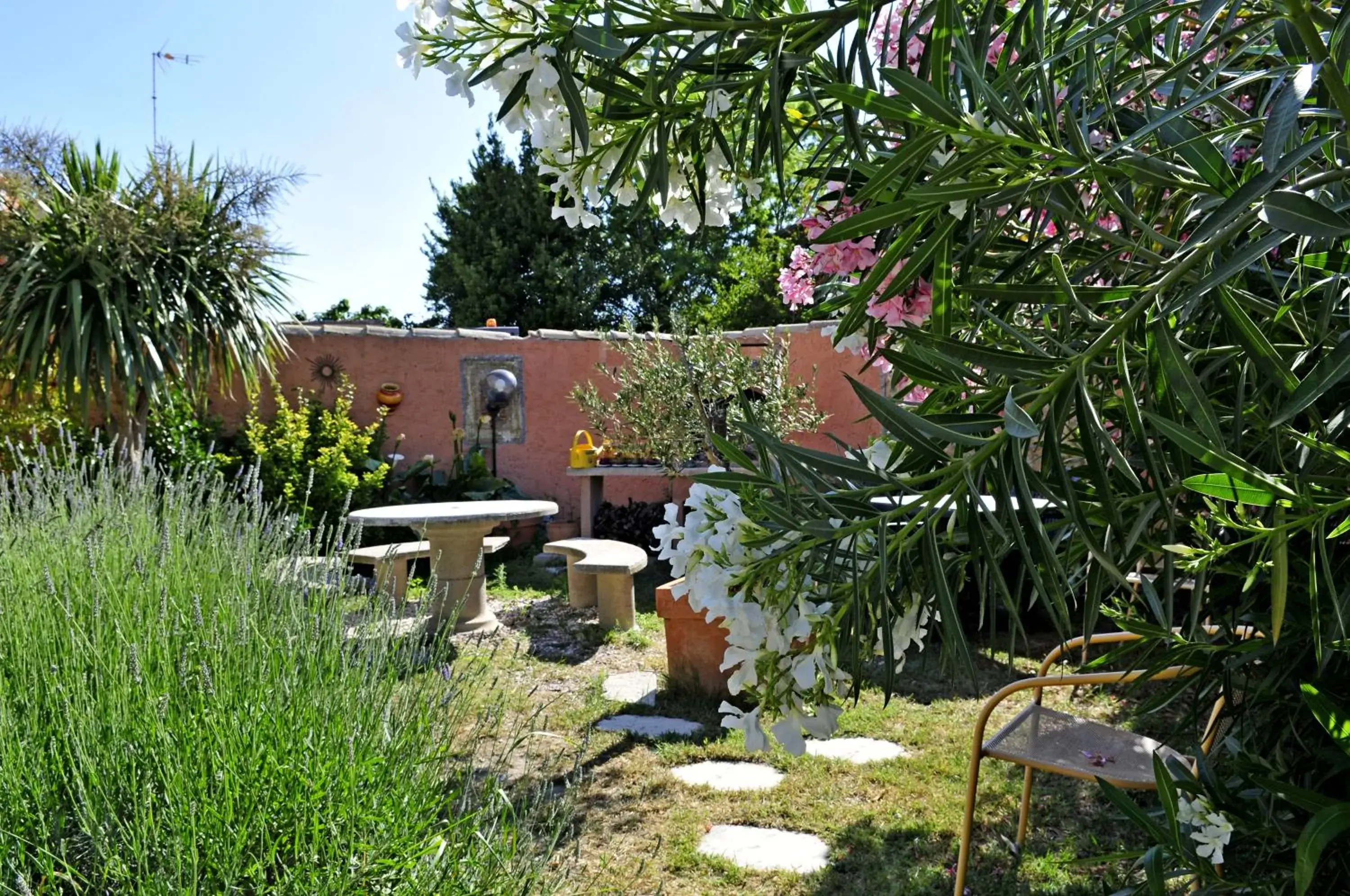 Garden in Maison des Croisades