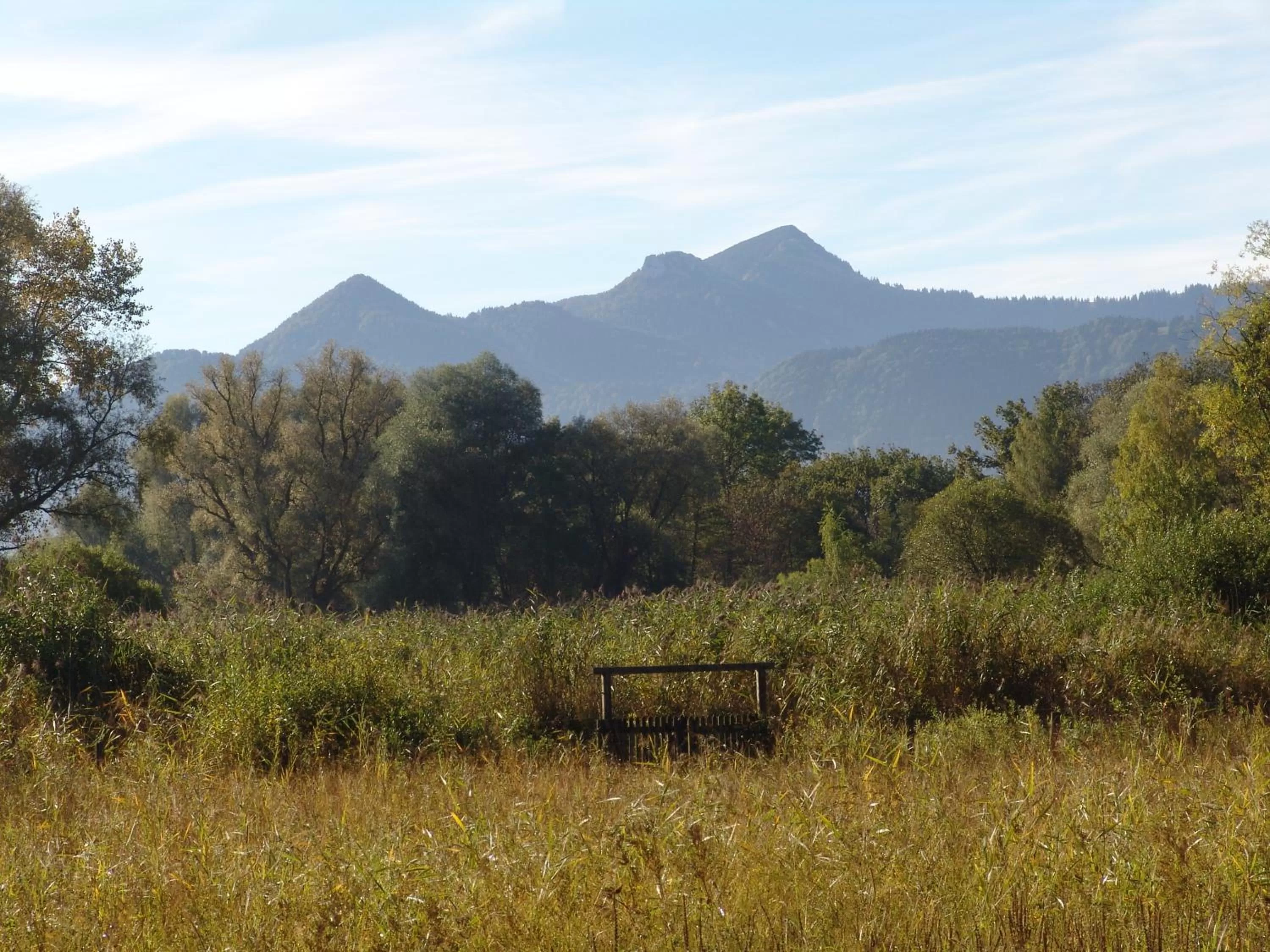 Activities in Zum Fischer am See ***S