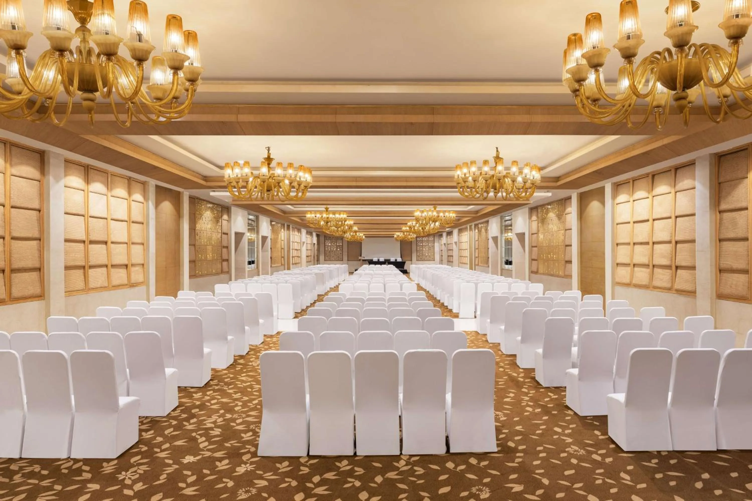 Meeting/conference room in Radisson Blu Hotel New Delhi Dwarka