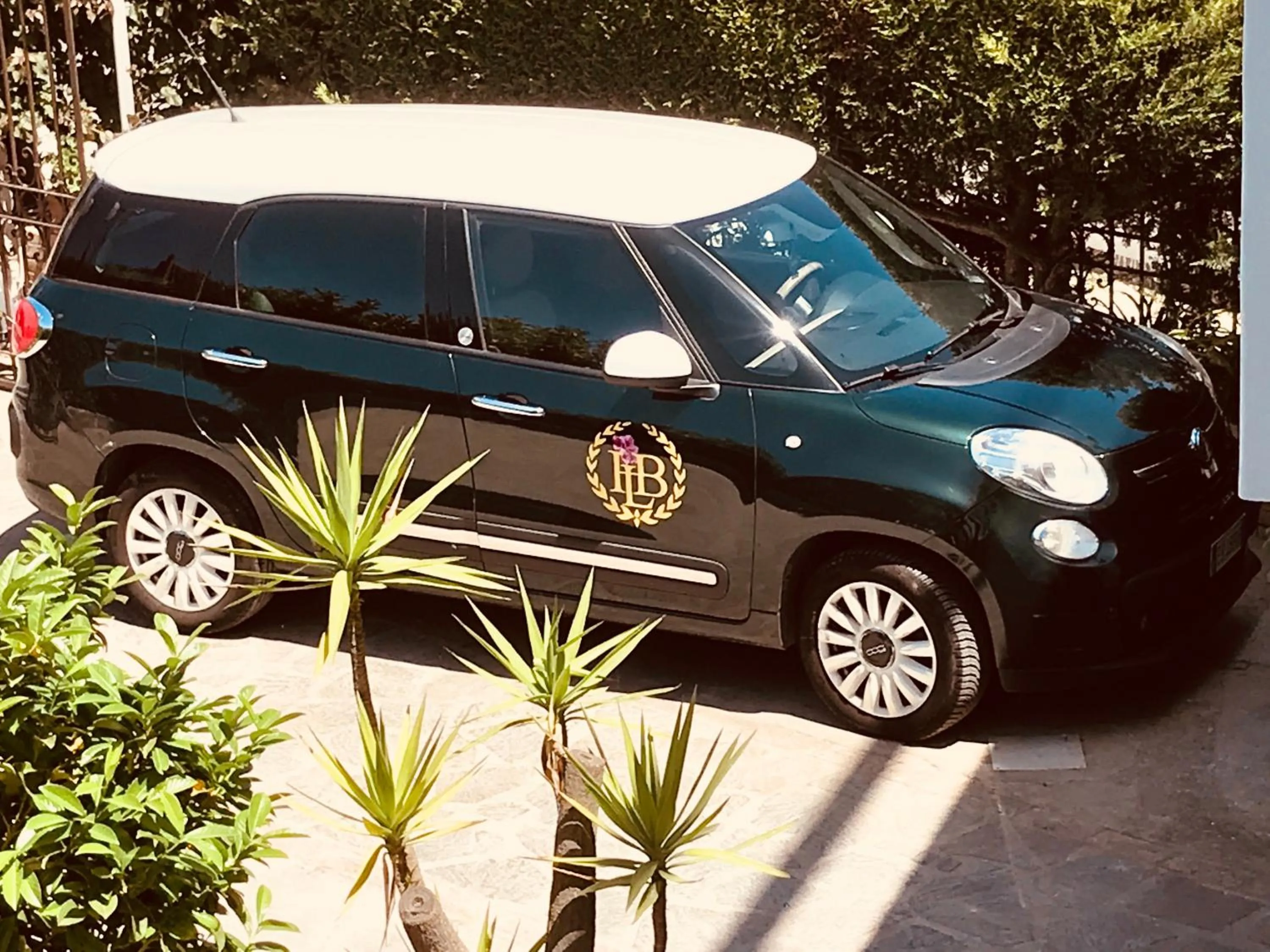 Activities in Bougainville Luxury Boutique Hotel