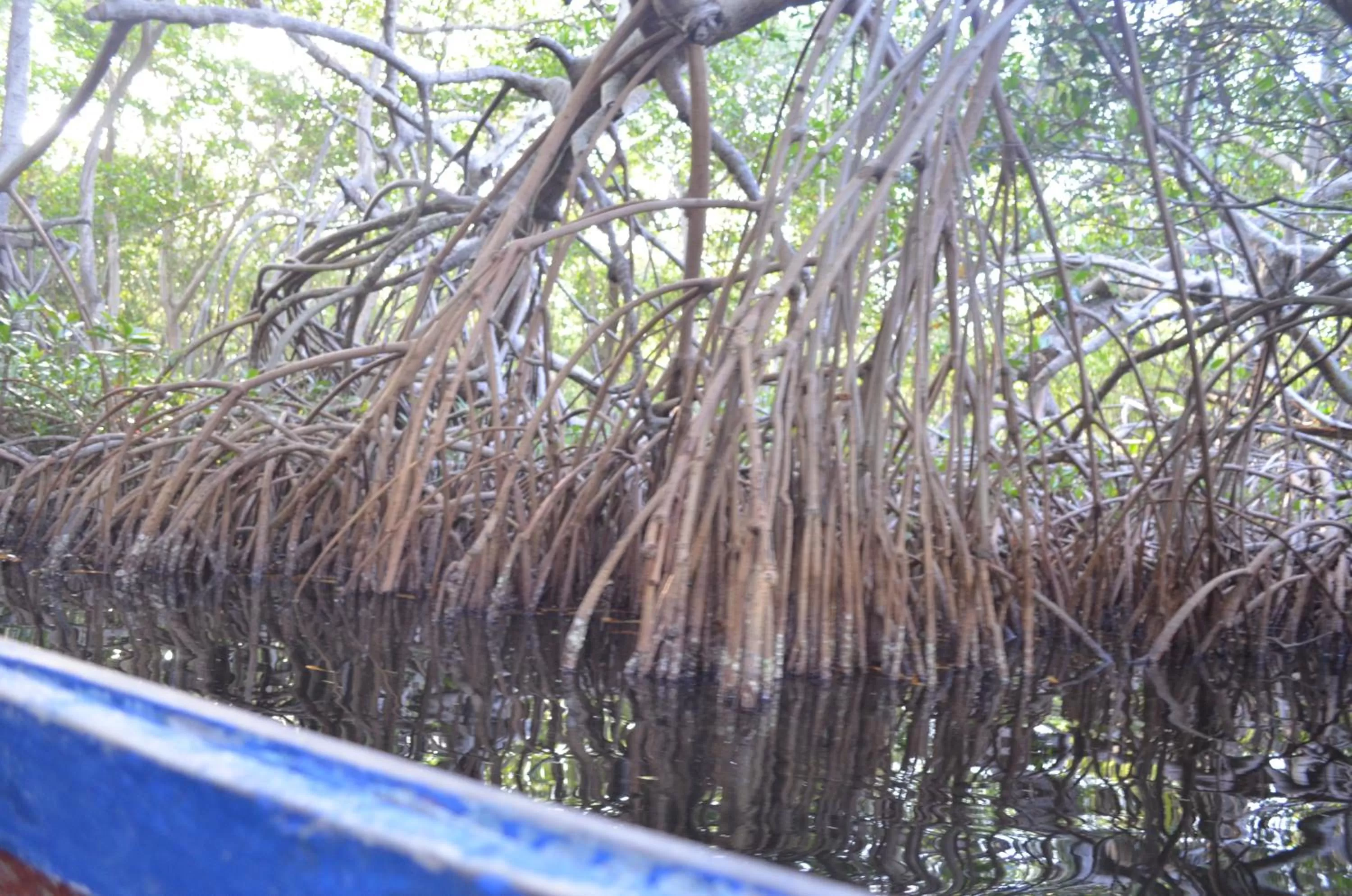 Activities in Hotel Costa Mar Coveñas