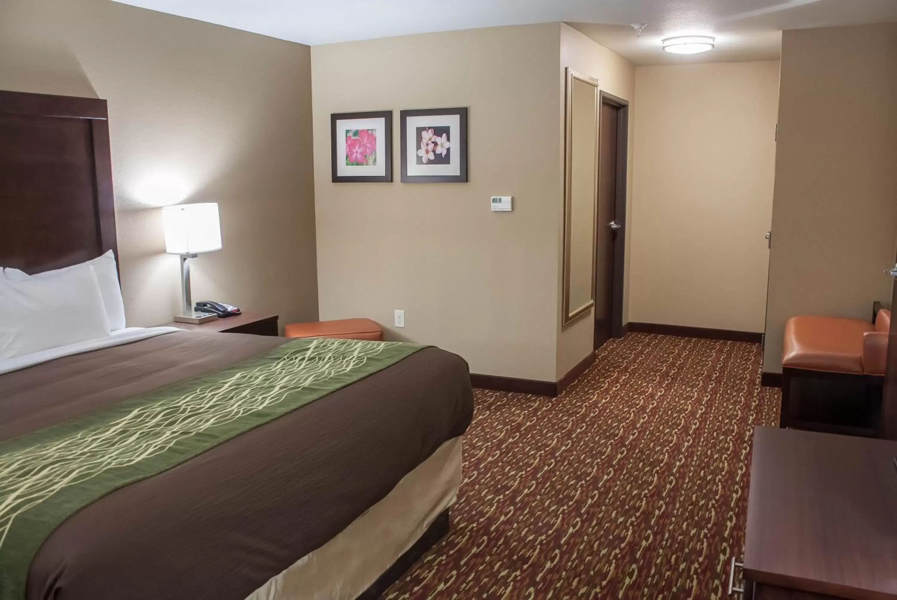 Photo of the whole room, Bed in Comfort Inn & Suites Artesia