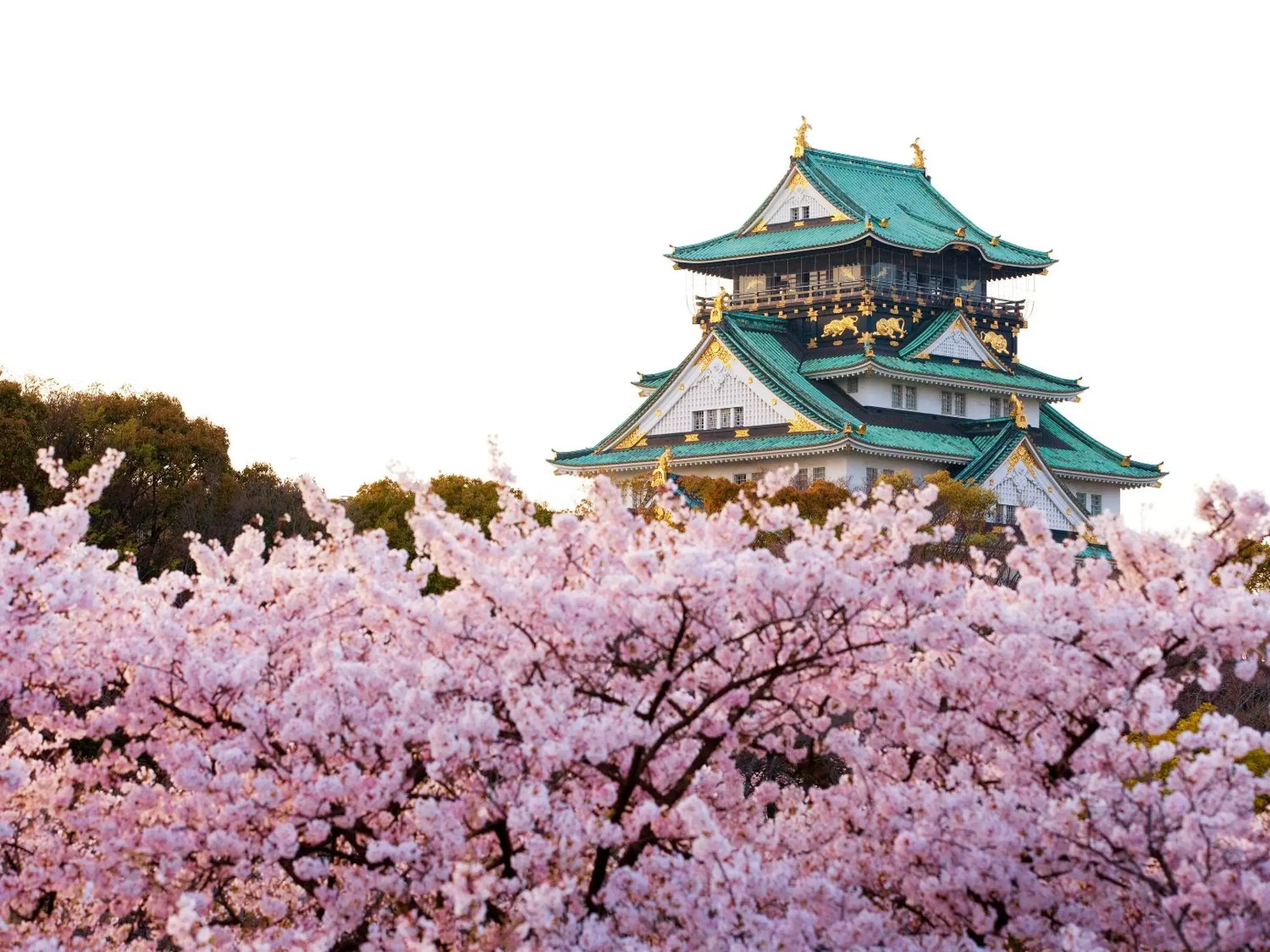 Nearby landmark, Property Building in Sotetsu Fresa Inn Kitahama