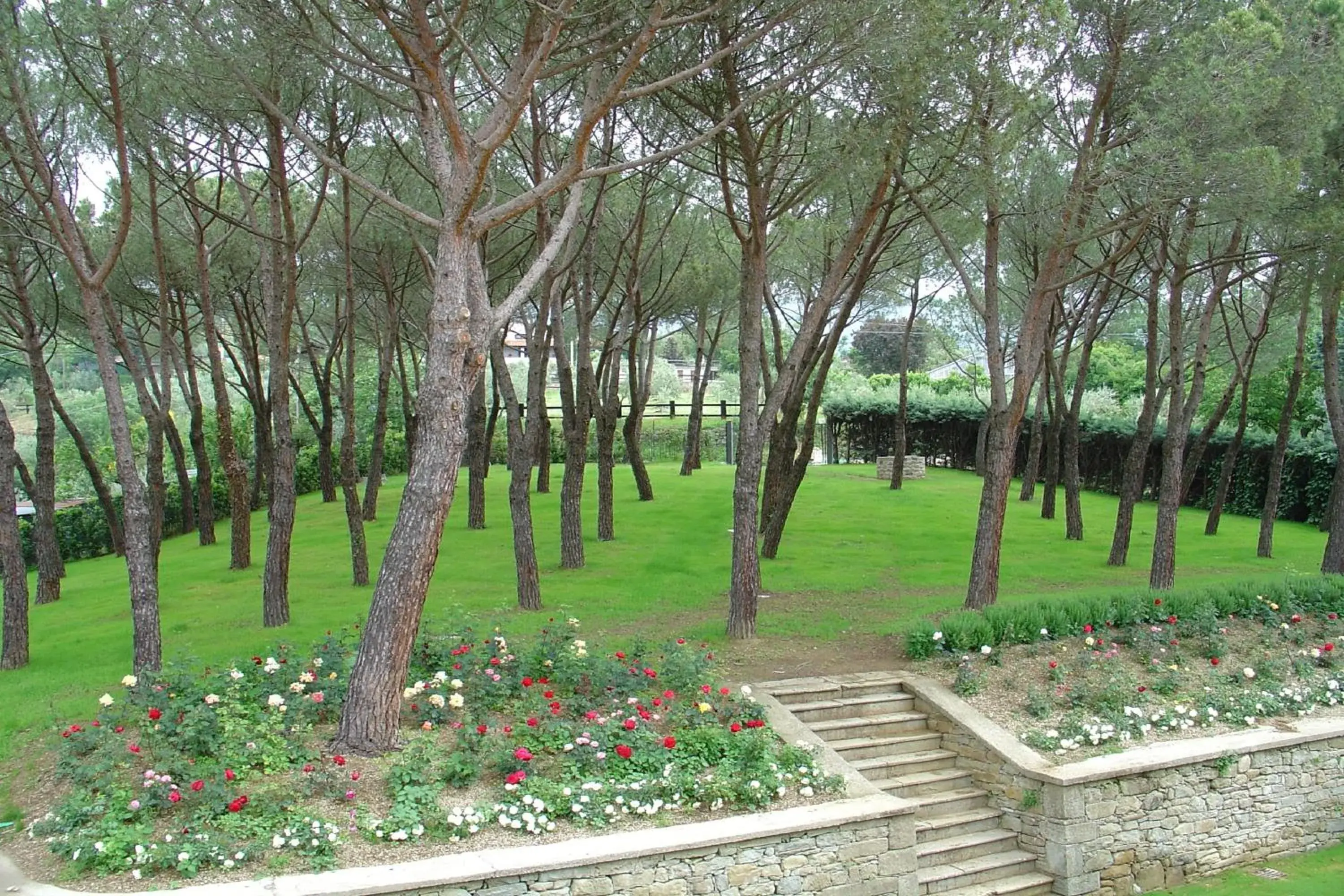 Floor plan in Villa Cassia di Baccano