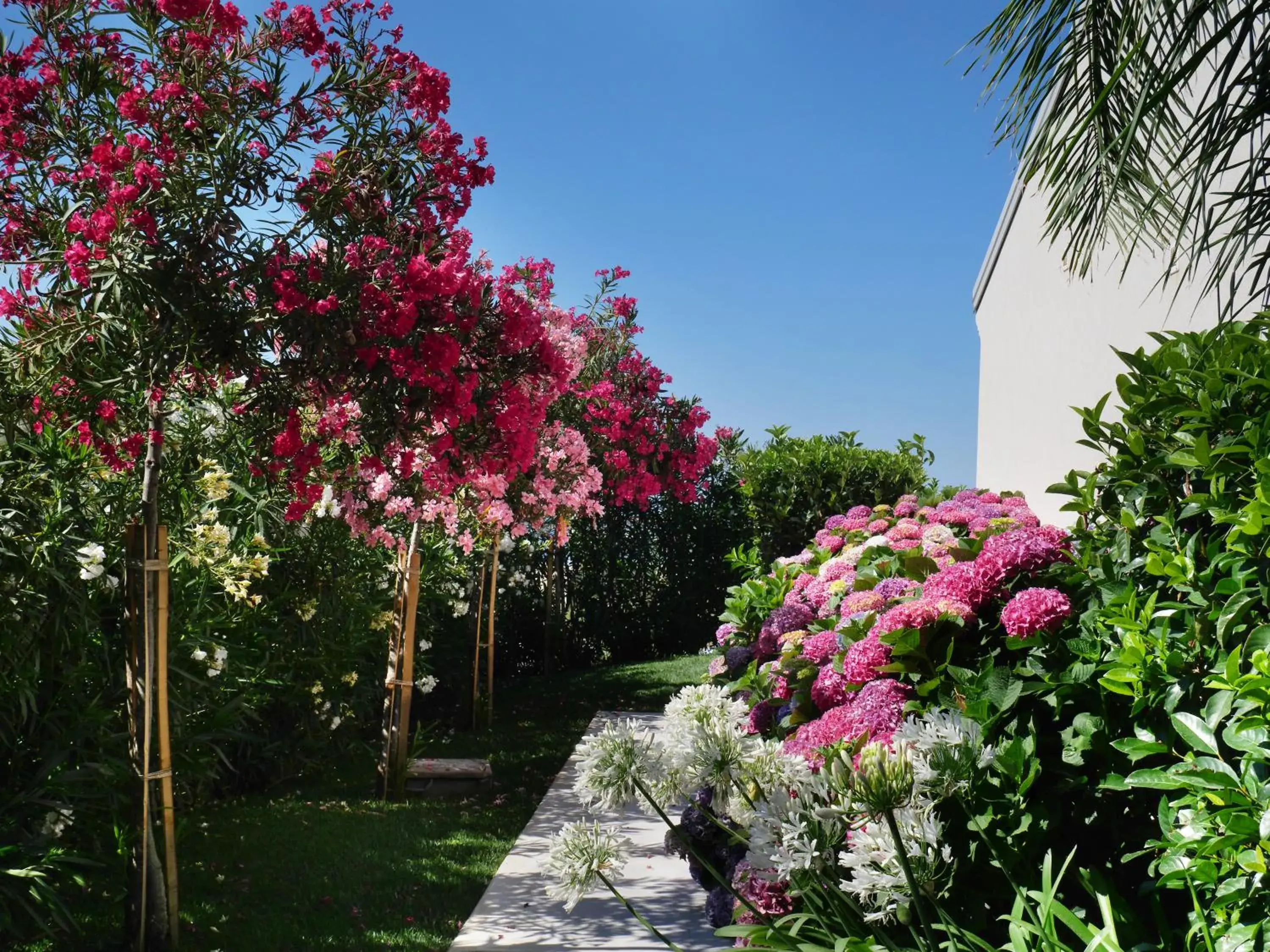 Garden in Il Borghetto Creative Resort