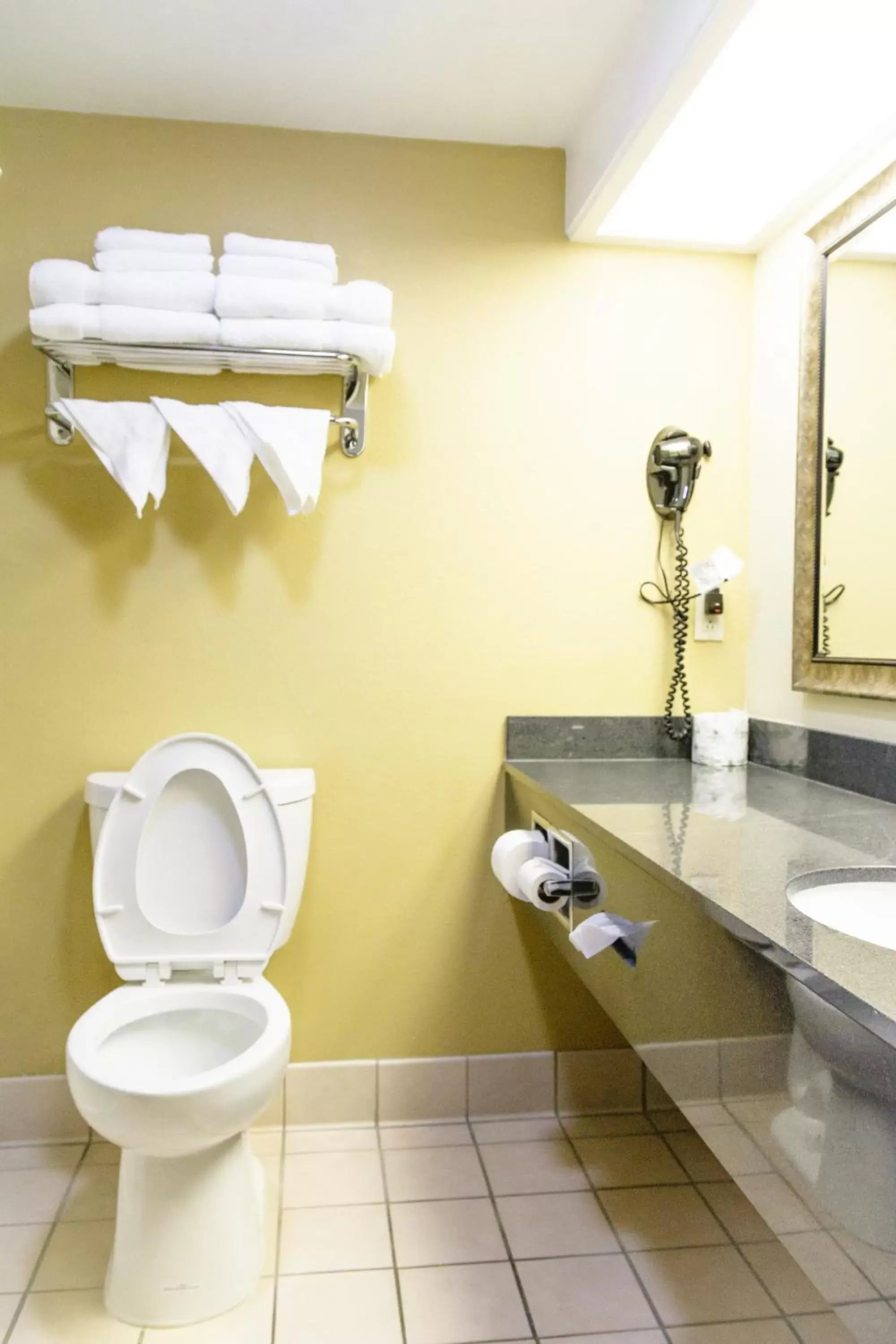 Bathroom in Best Western Kiva Inn