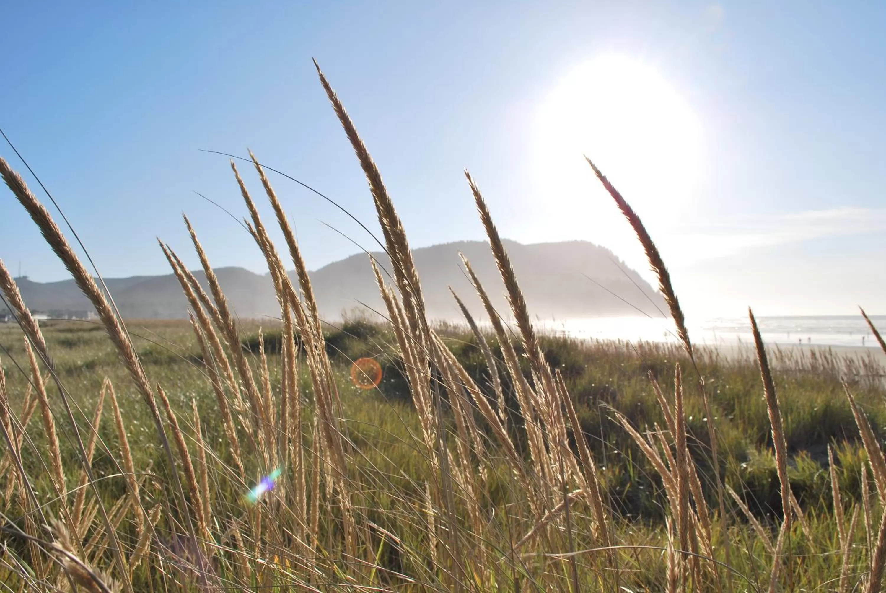 Area and facilities, Natural Landscape in Inn at the Shore