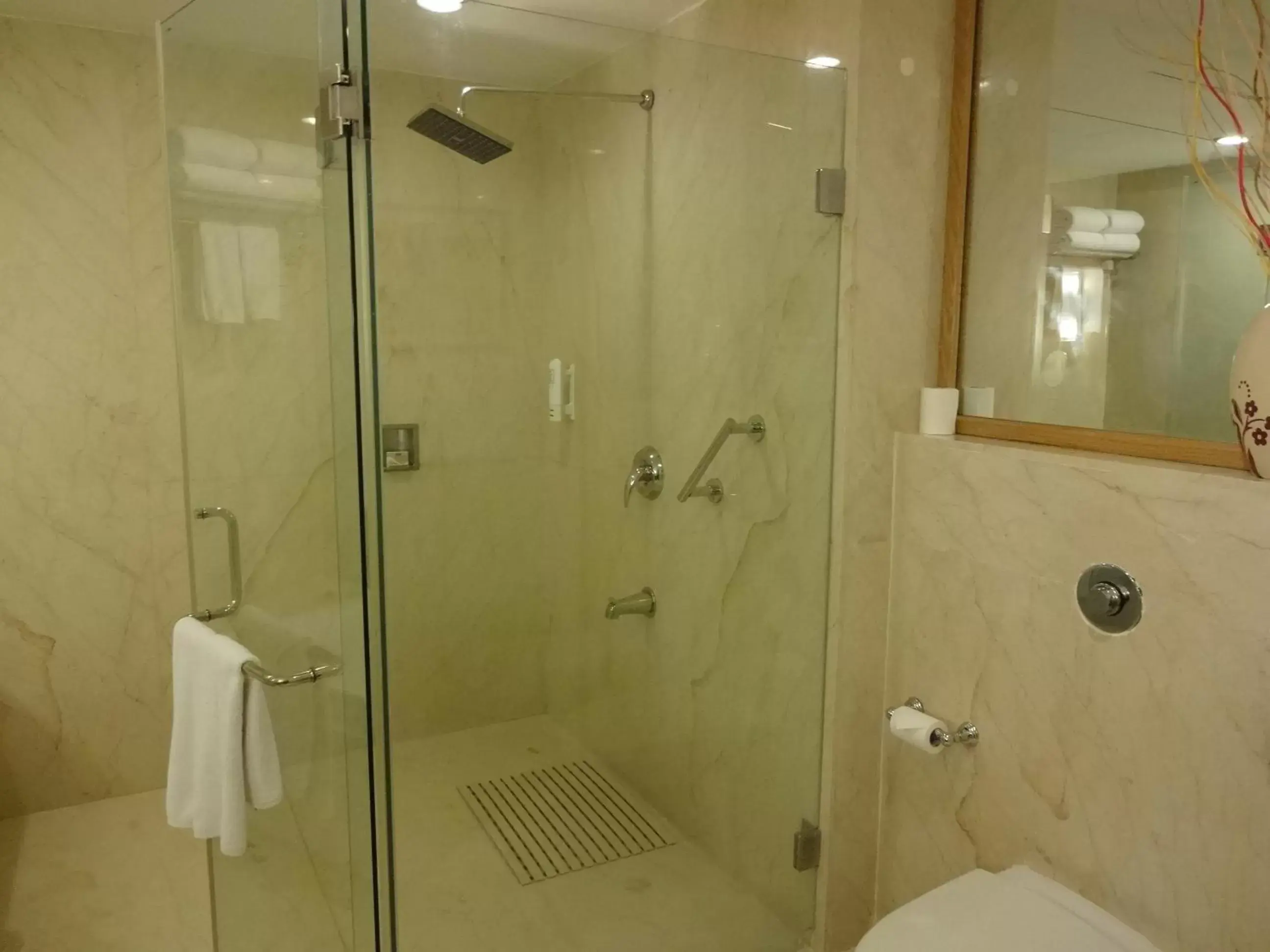 Shower, Bathroom in Park Plaza Chennai OMR